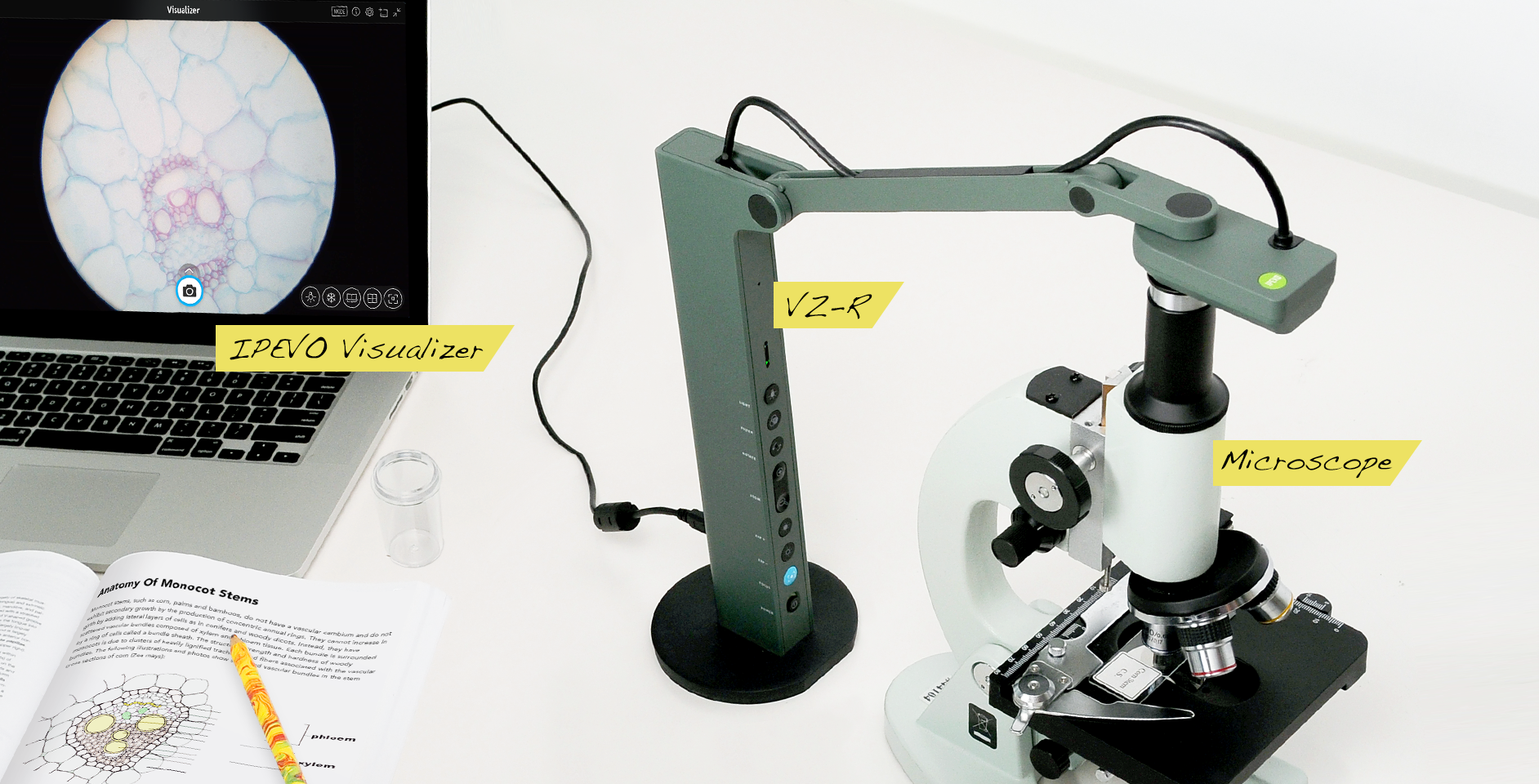Get A Closer Look By Using Ipevo S Document Cameras With A Microscope By Ipevo On Ipevo Medium