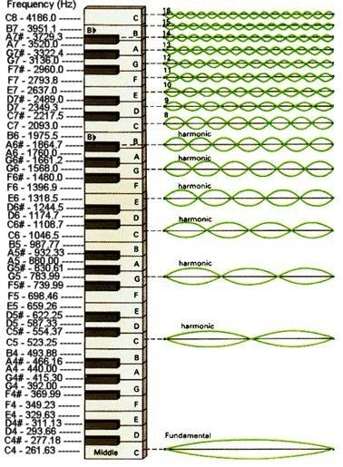Musical scale frequency visualization. Image from universe-review.ca