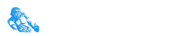 NERDJACKING
