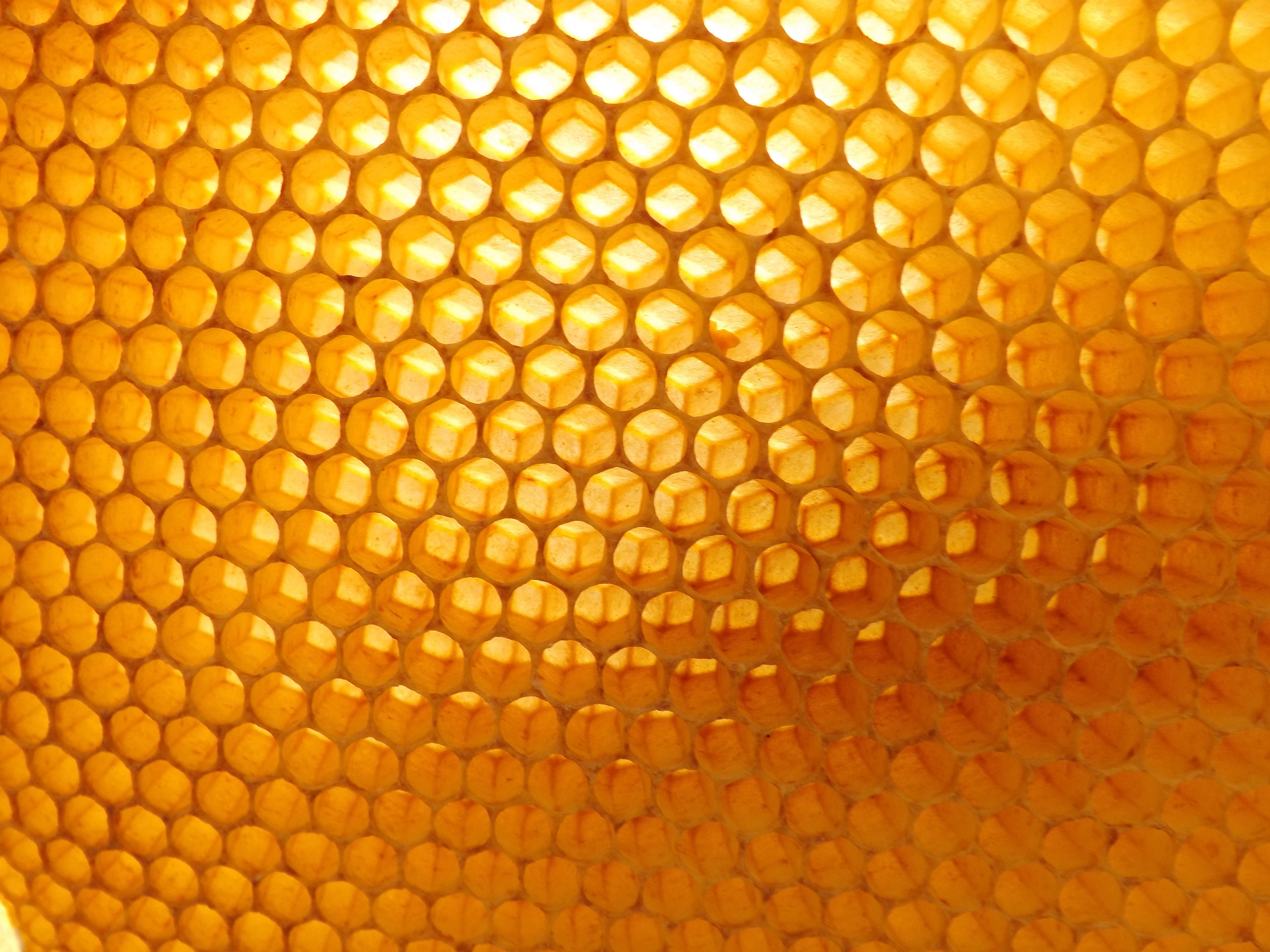 hexagon grids in JavaScript by Abbe Keultjes Medium