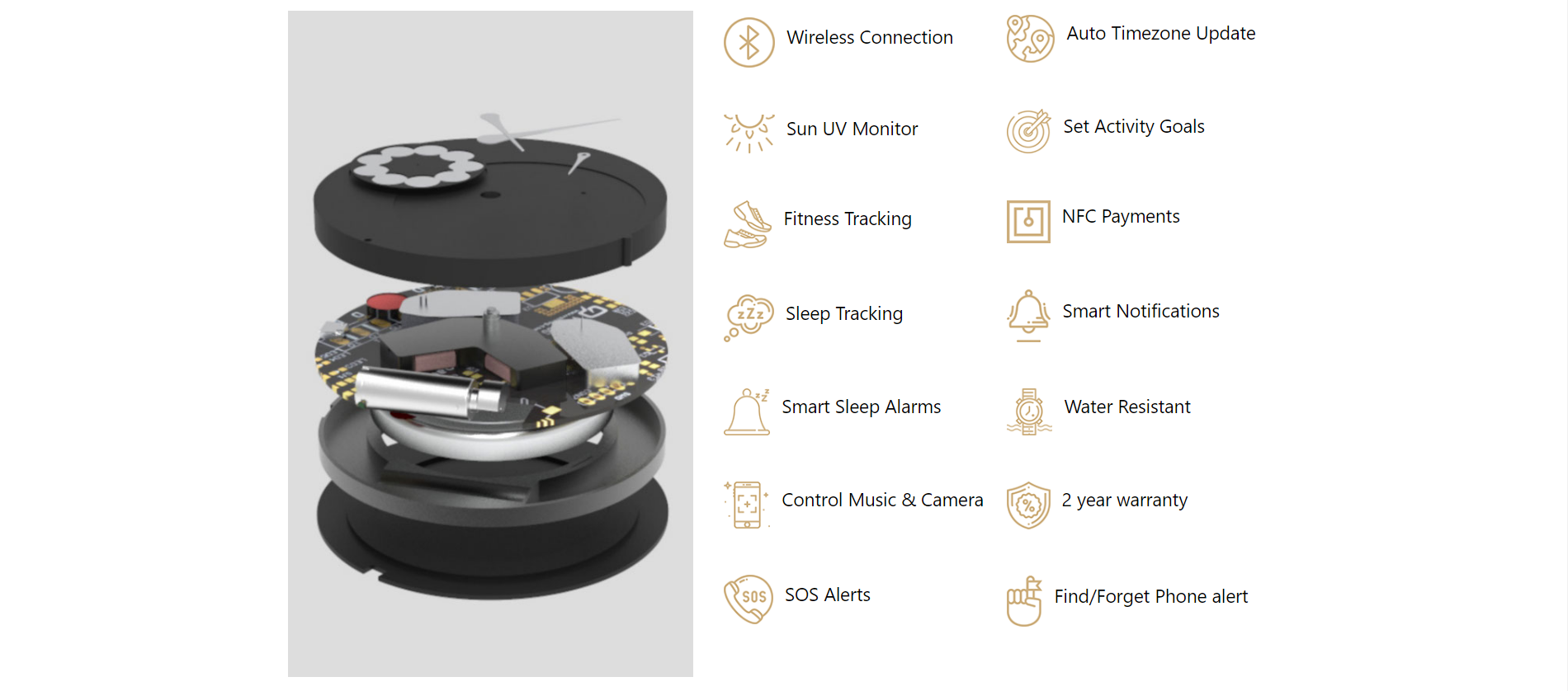 muse smartwatch price