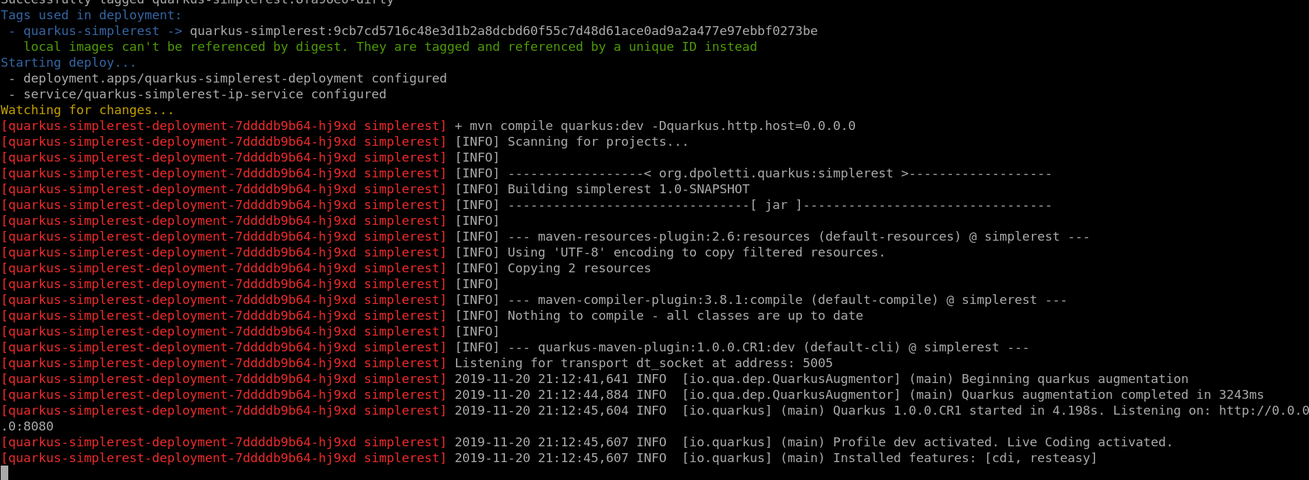 Quarkus Development mode with and Skaffold