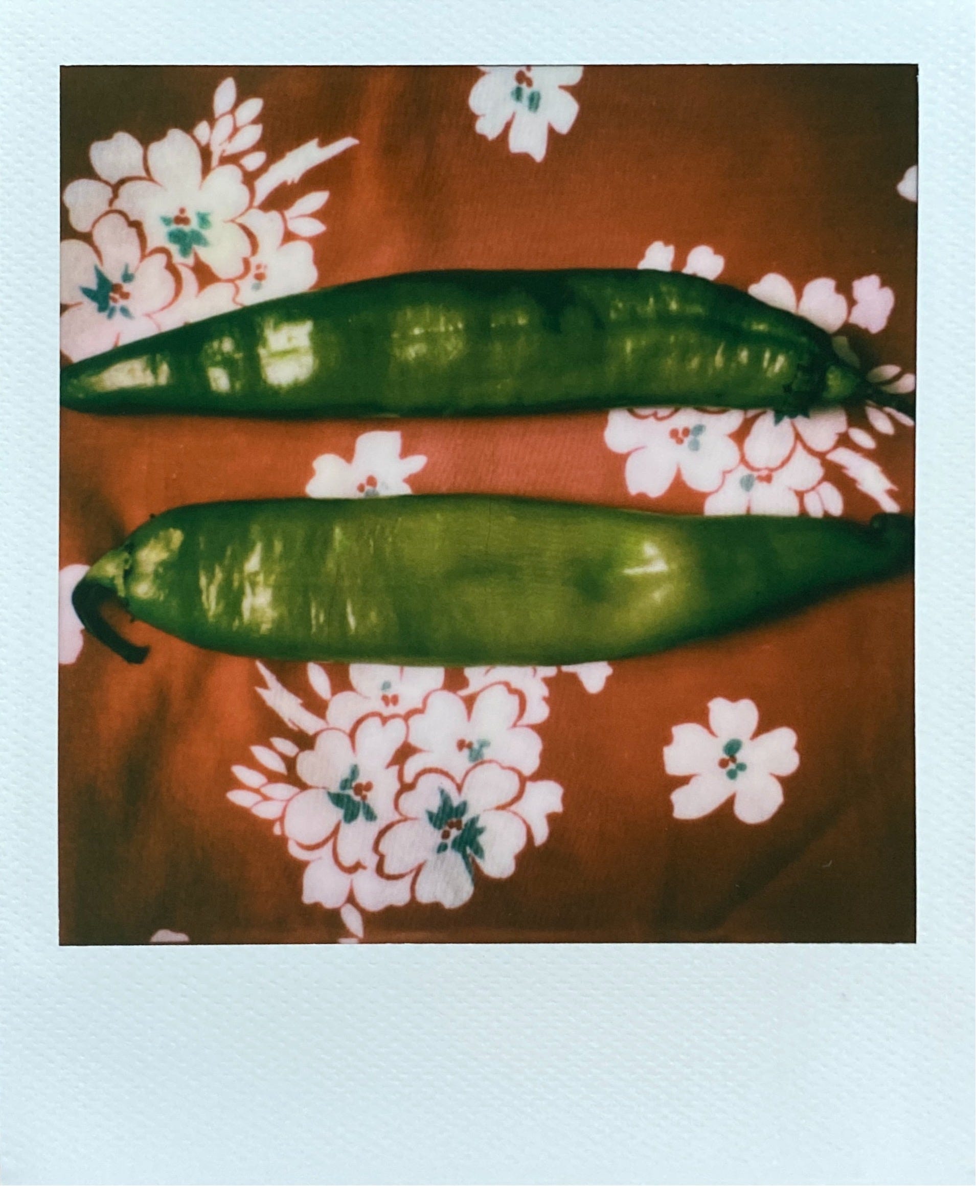 Two hatch chiles laid out horizontally on a red, white, and turquoise tablecloth background