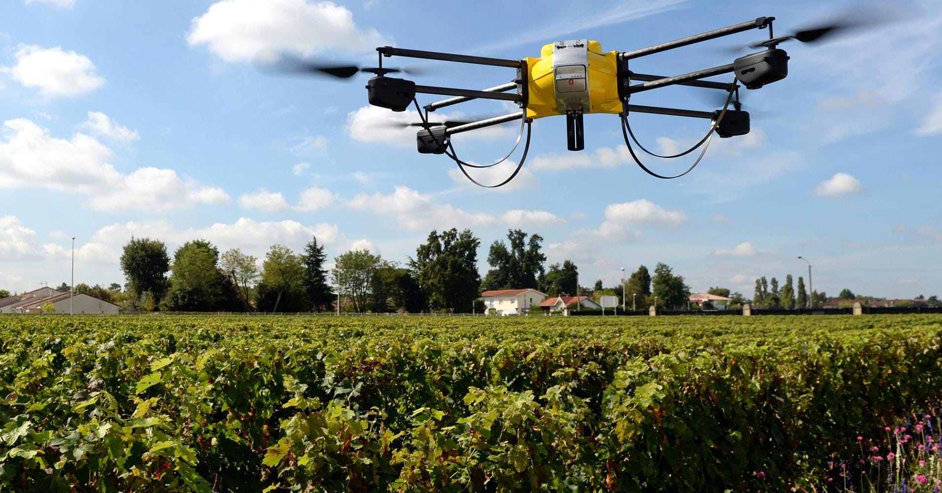 How Ukrainian start-ups create new possibilities for ...