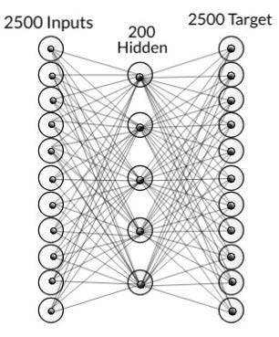 Network with just BPN