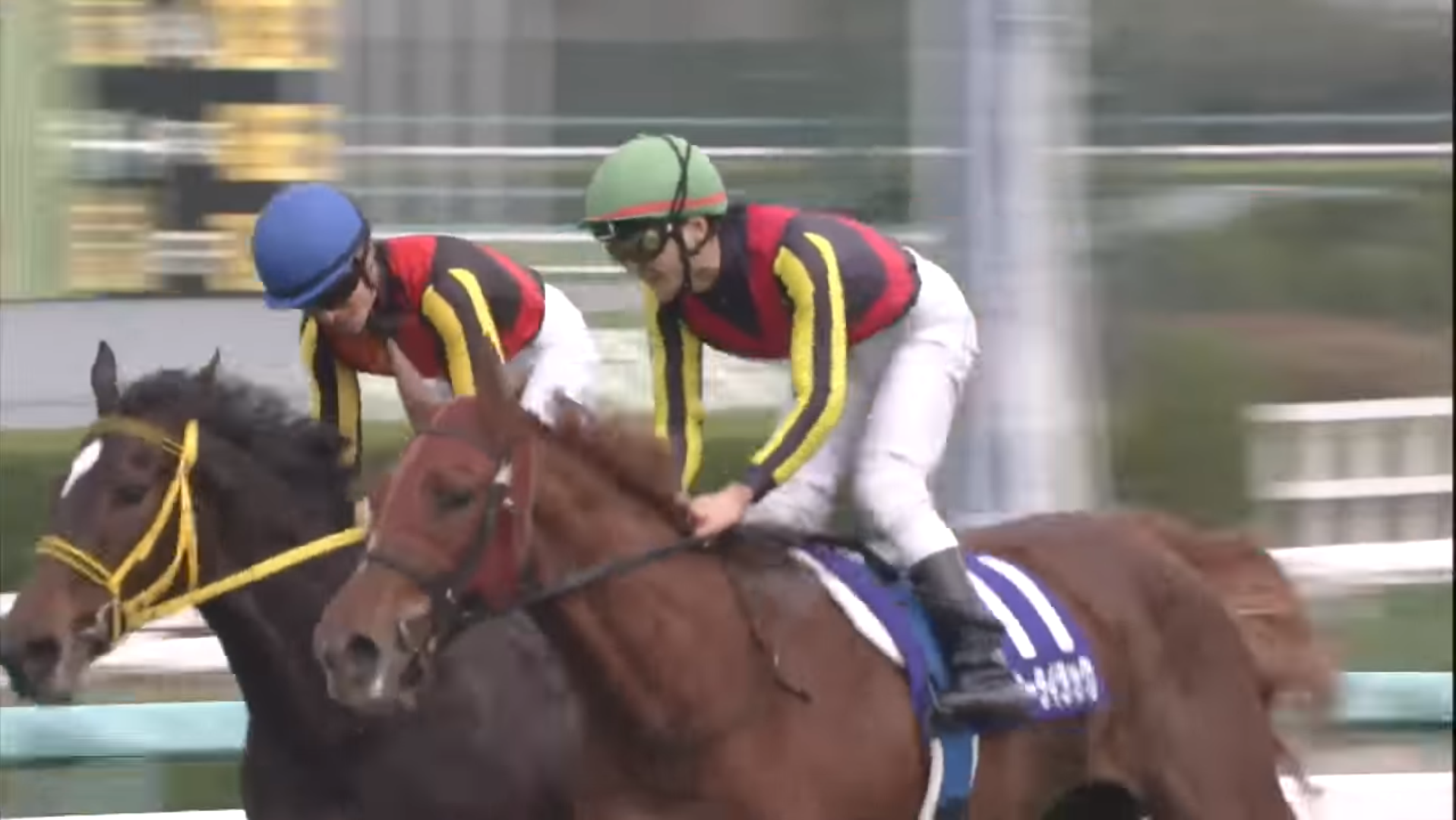 賽馬娘考察 榮光背後 杏目アーモンドアイ 在賽馬娘動畫中 特別週和一眾馬娘都為了成為三冠馬娘而奮鬥 當中的三冠 指的是皐月 By Vannzic Medium