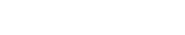 Visitor Vision