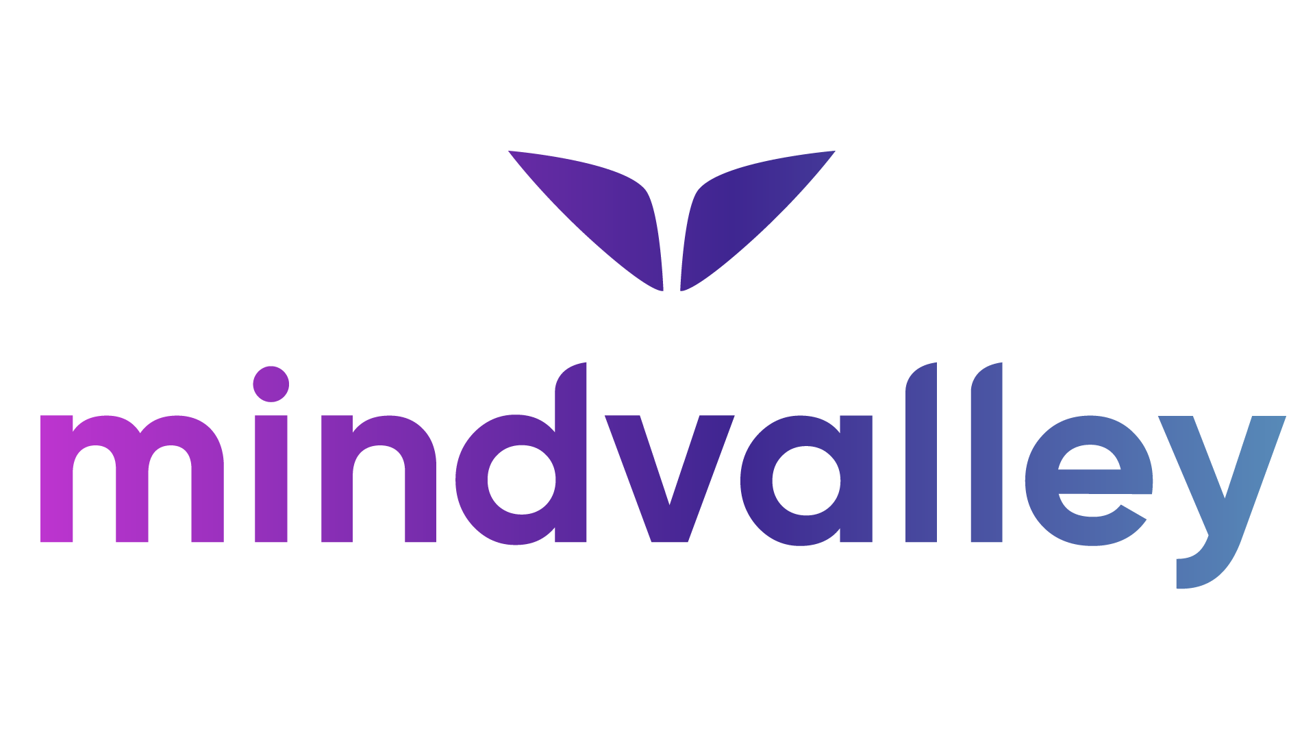 Mindvalley — the company of the future and why I want to work ...