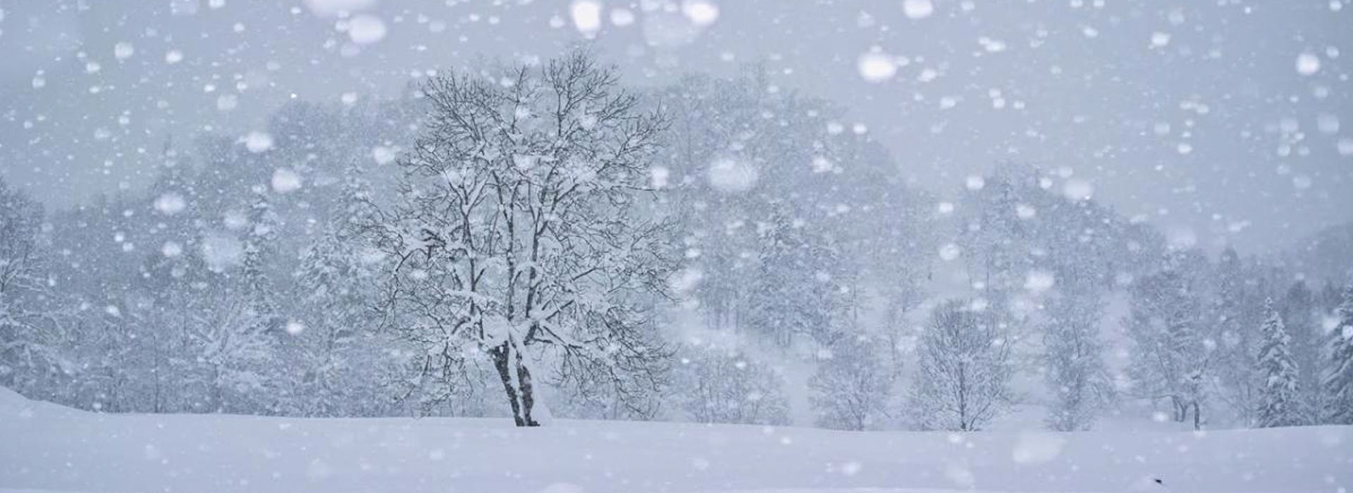 大風雪 By Kenneth Kwok Medium