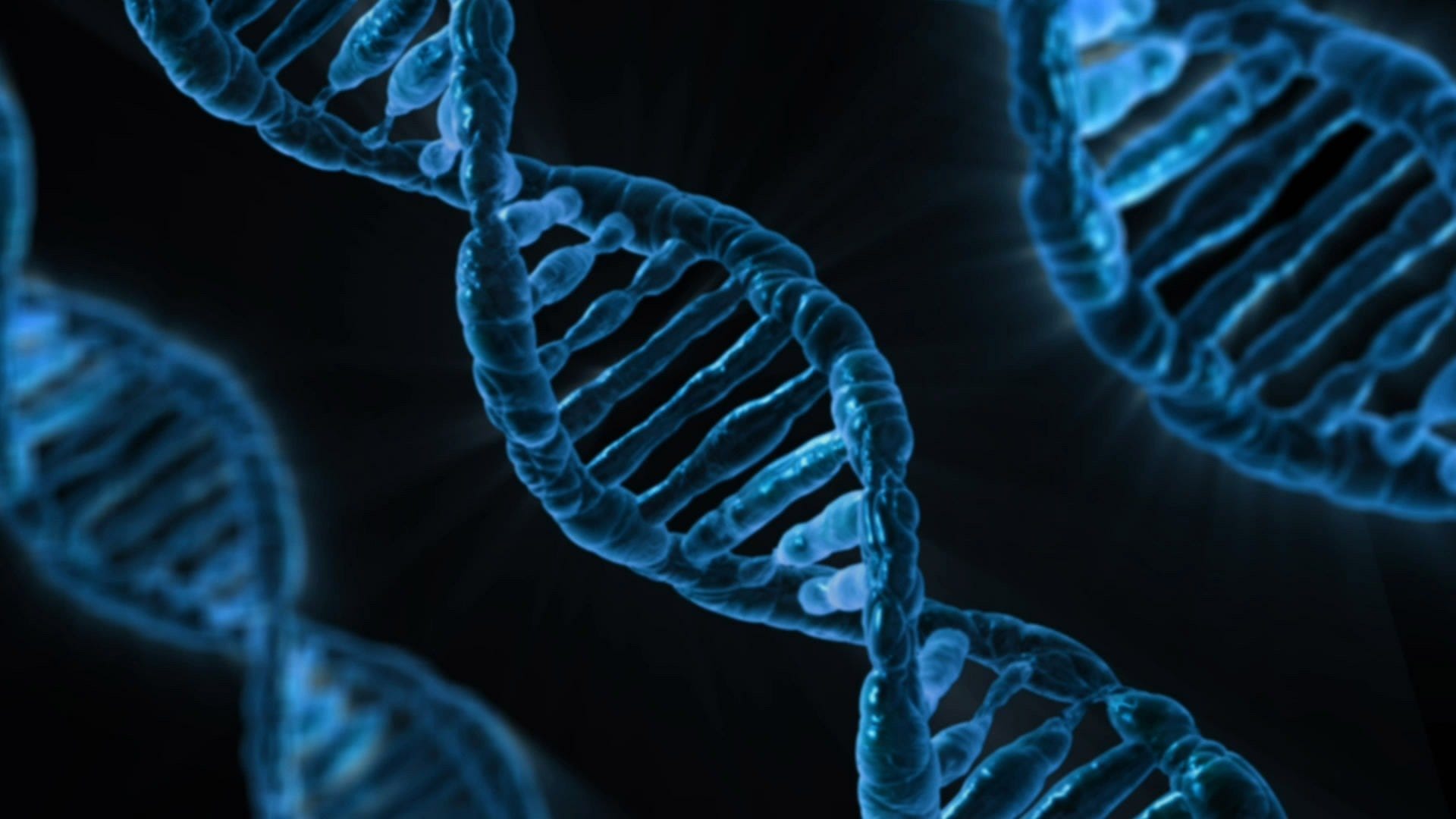 DNA Helix