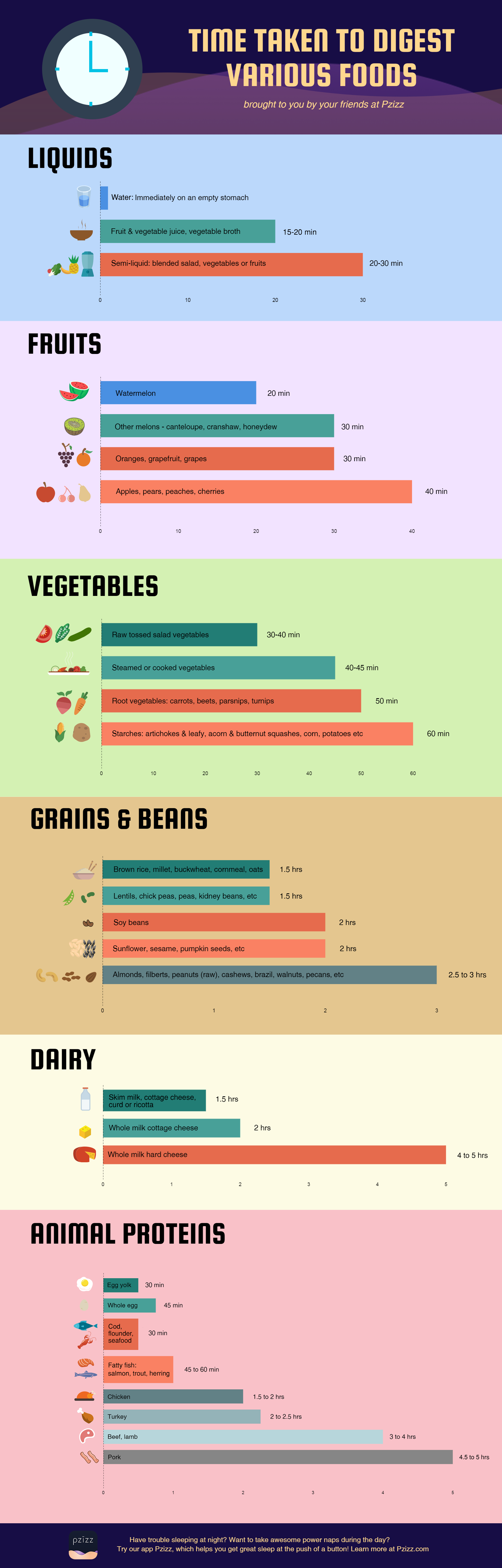 Digestion Time Chart