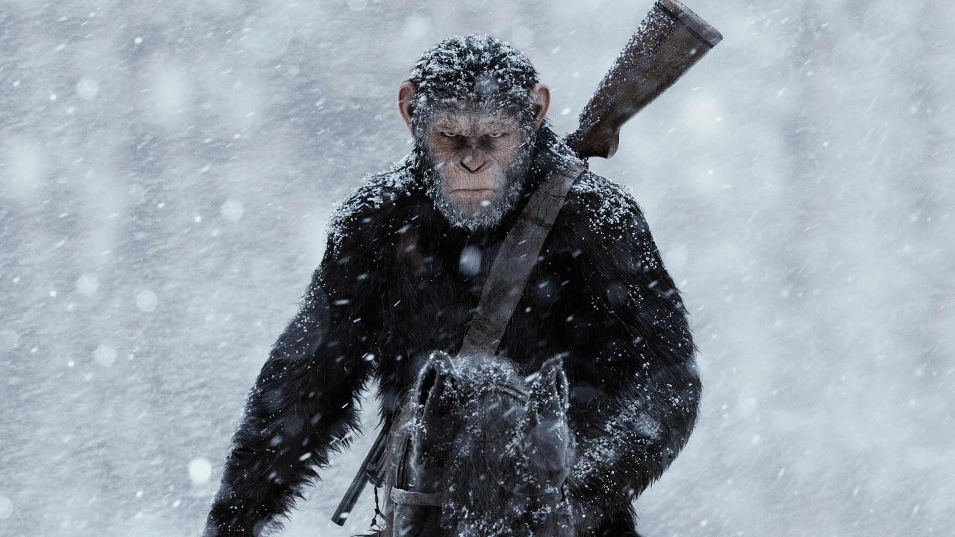 Featured image of post Ultra Hd Caesar Ape Wallpaper