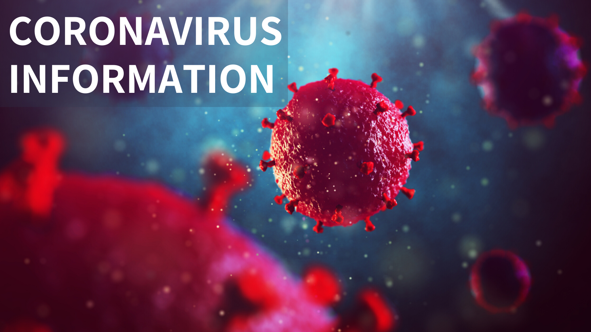 Image Of Coronavirus 19