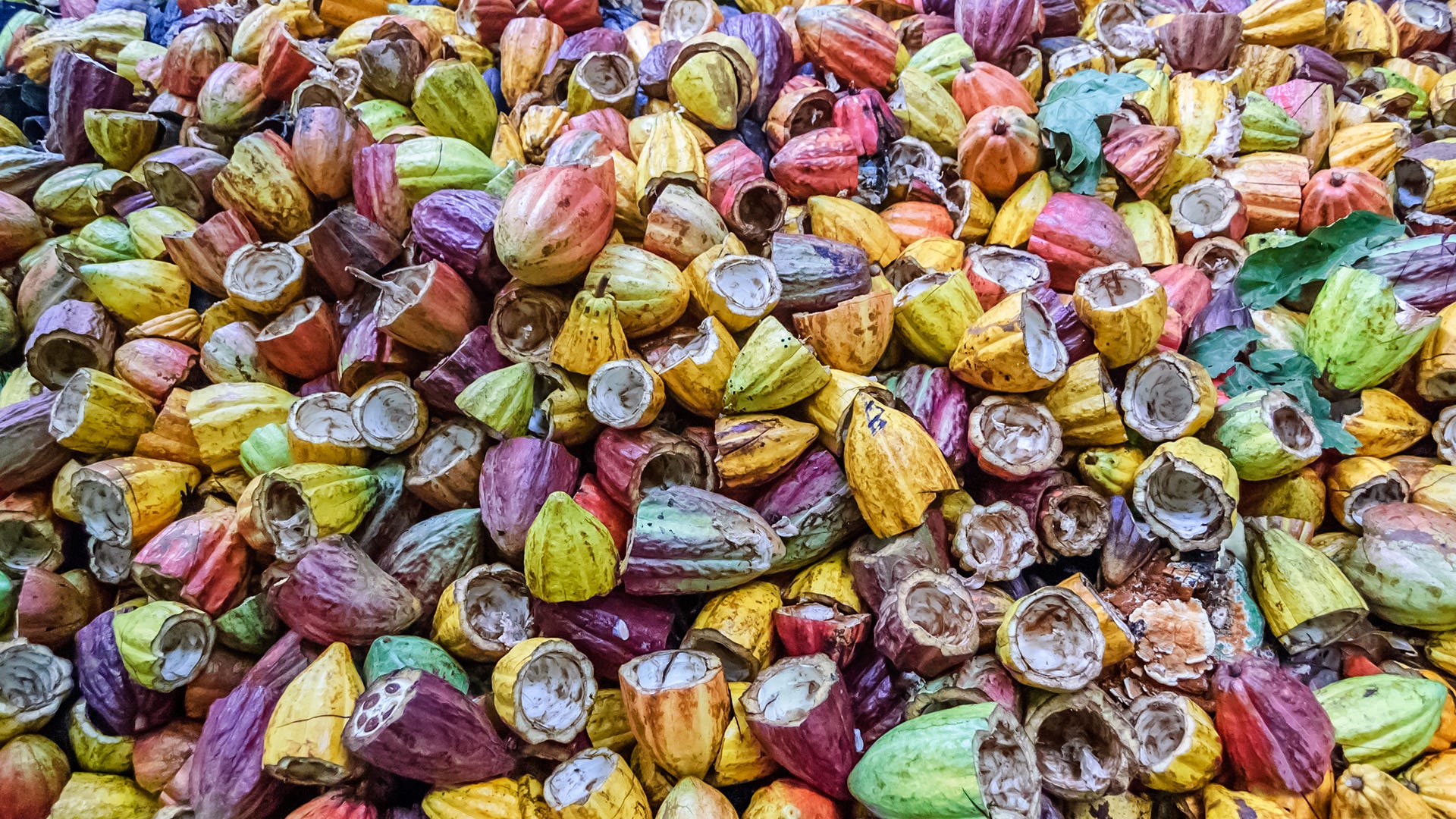 Scientists around the world are working to turn agricultural waste into