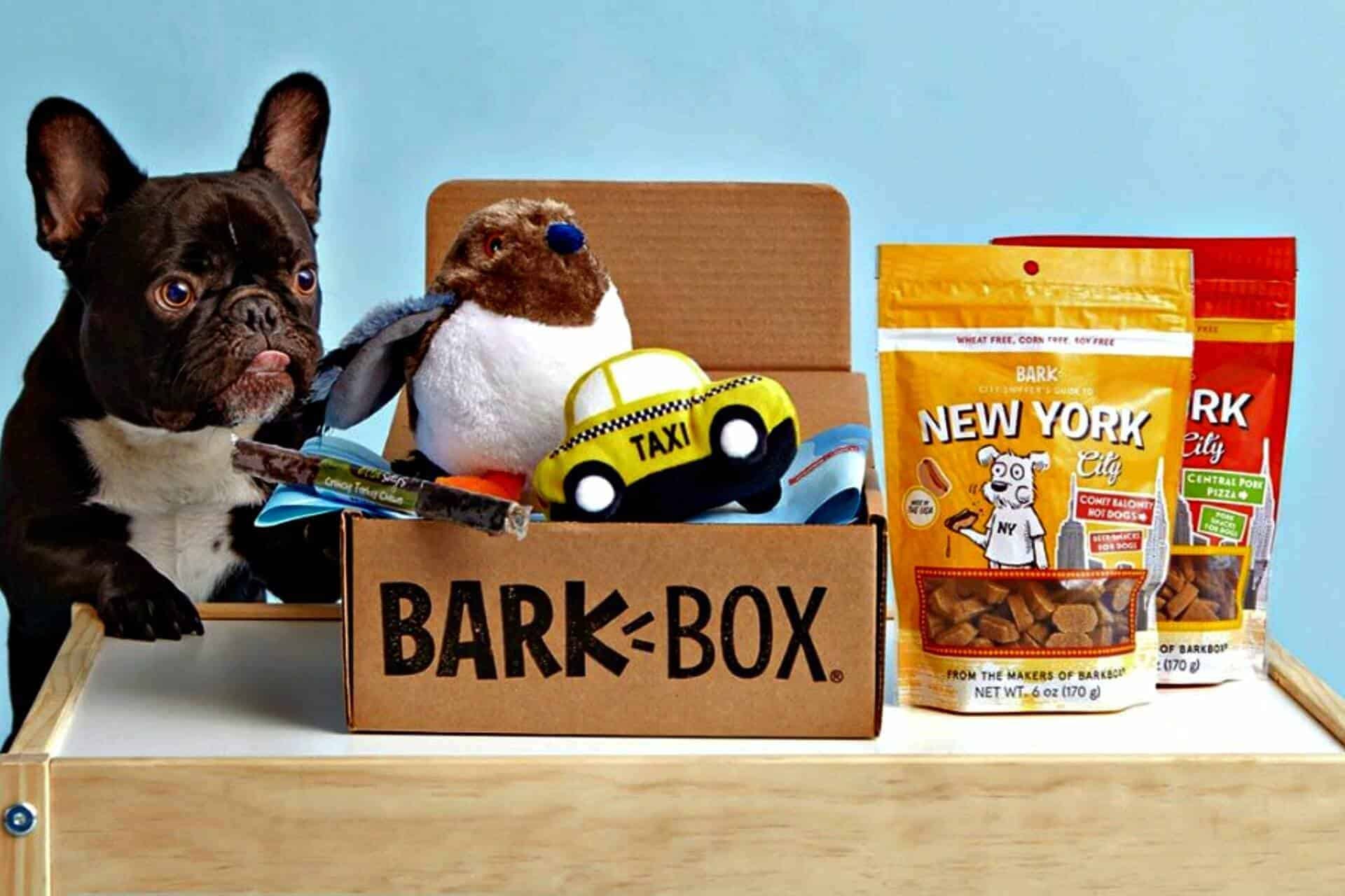 barkbox company