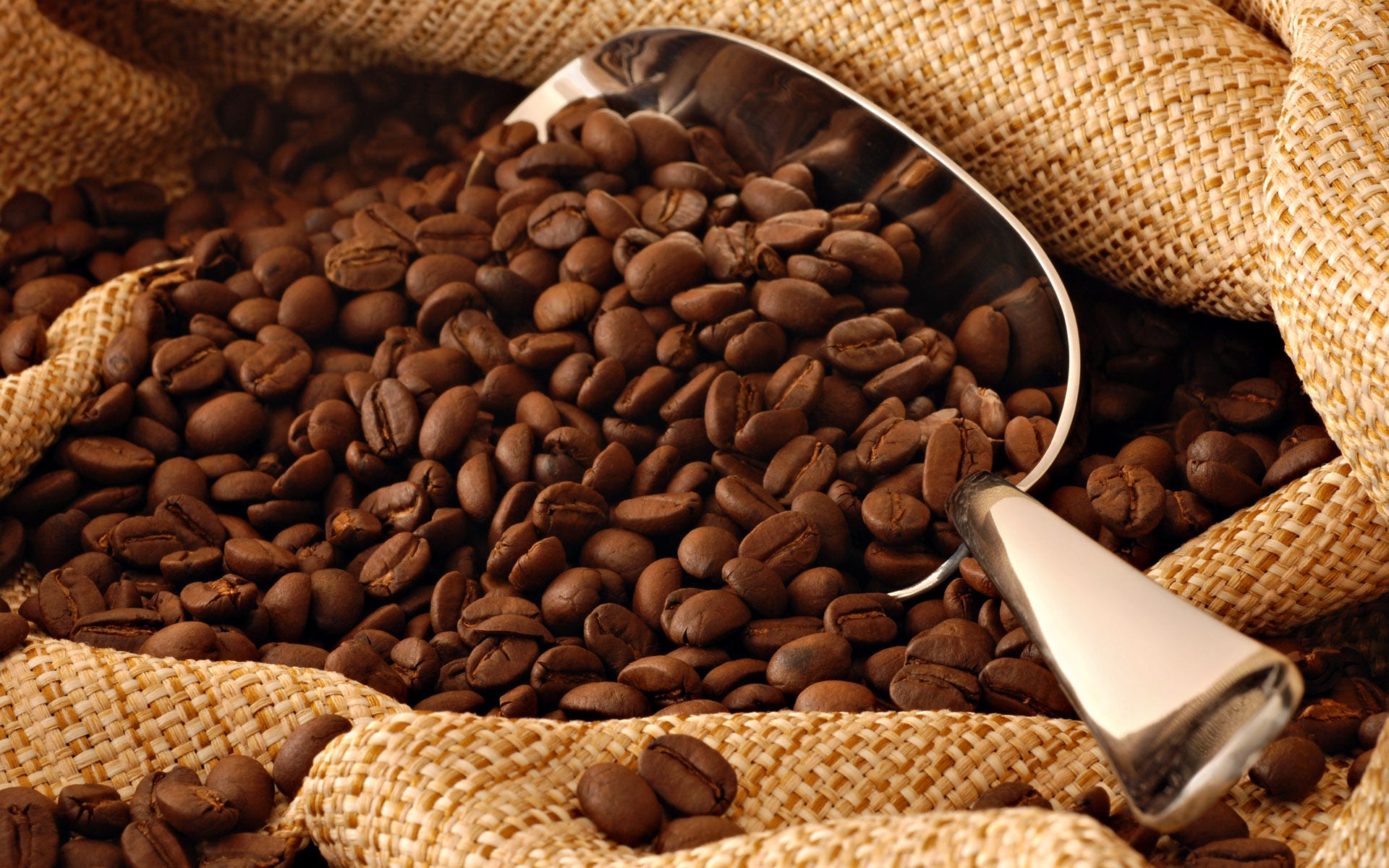 Spiced Chai Tea Ingredients: Loaded with Goodness and Flavours | by