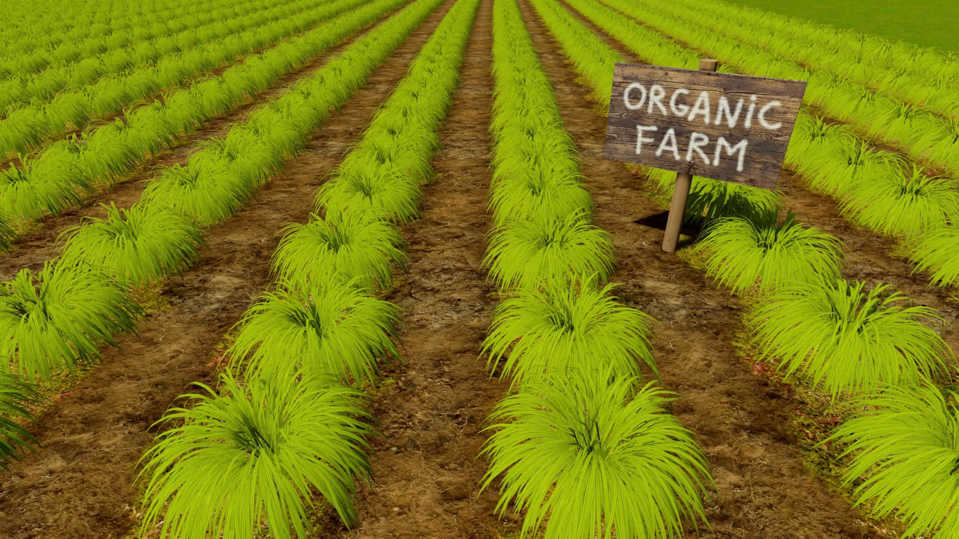 Organic Farming 