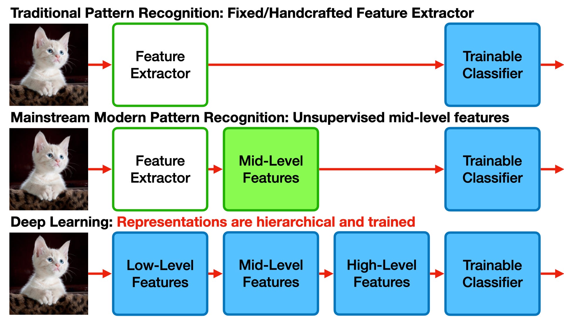 cat recognition deep learning