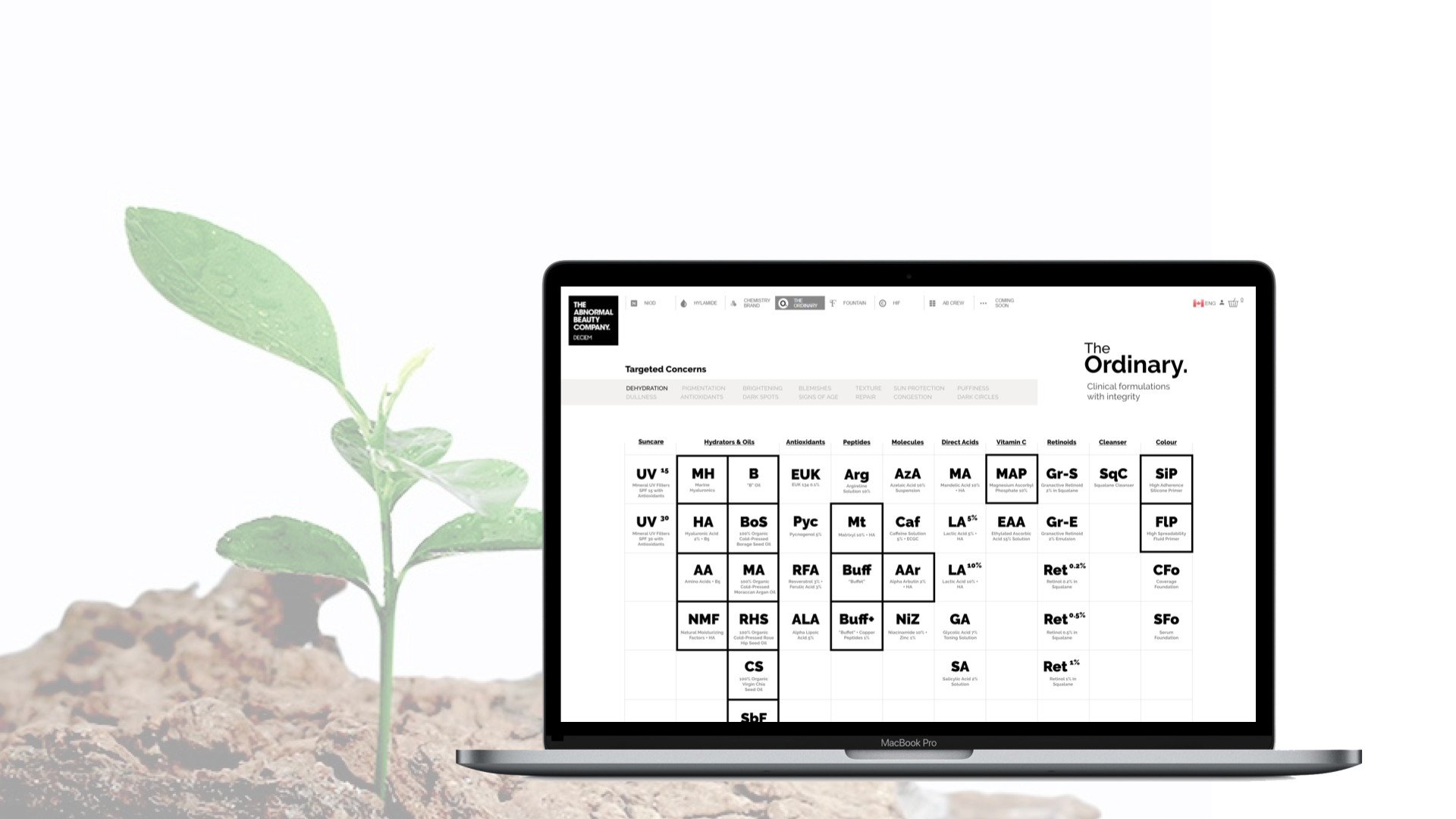 Online gambling case study guides