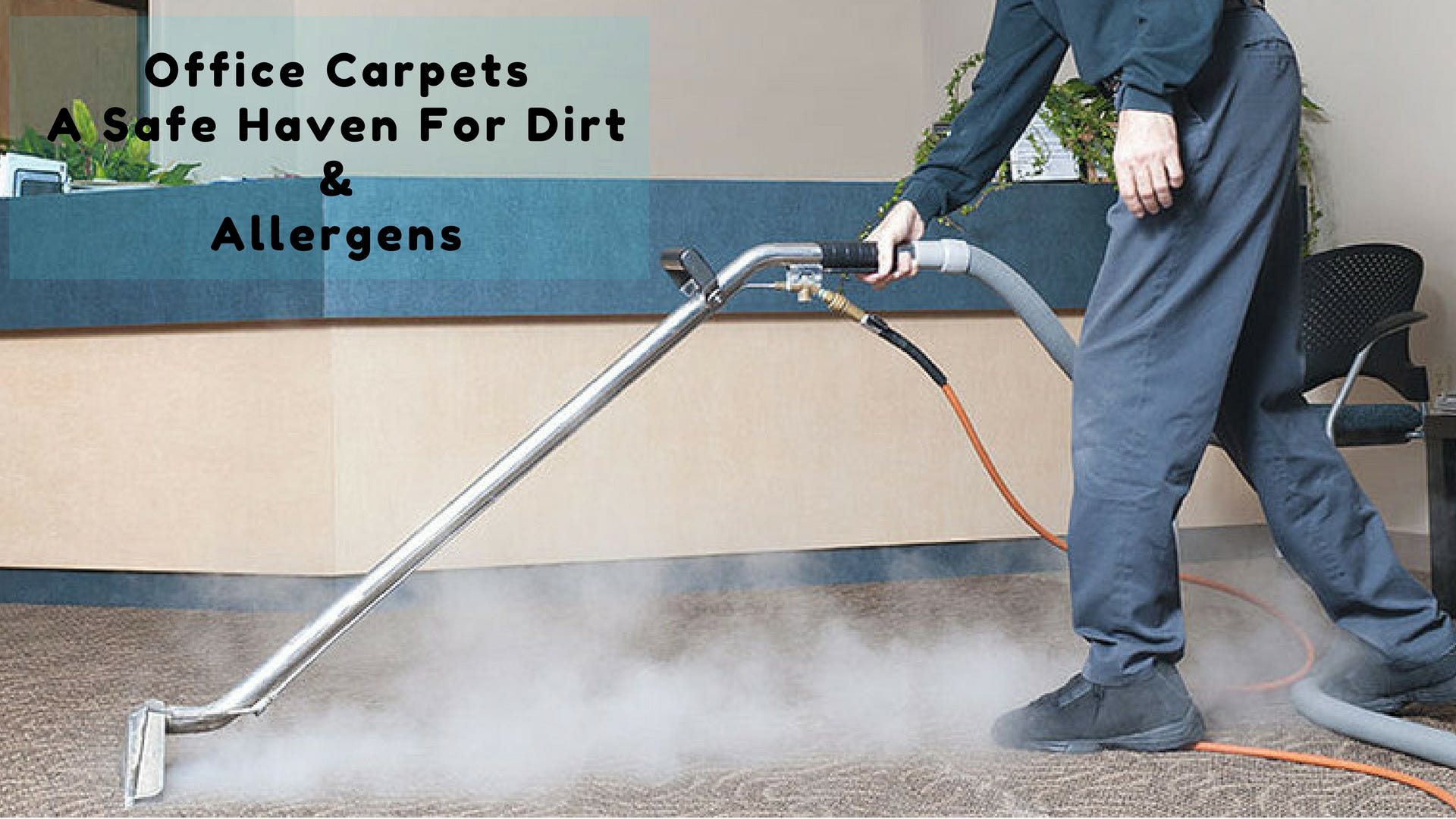 Office Carpets A Safe Haven For Dirt Allergens Canadian