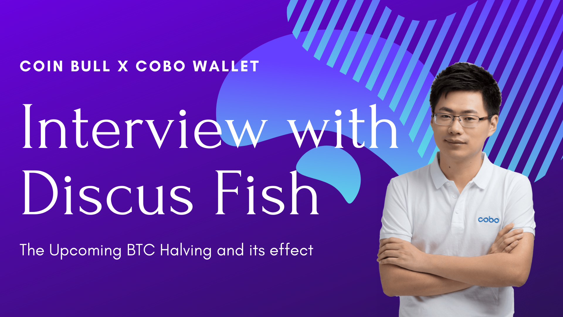 Interview With Discus Fish Upcoming Btc Halving By Cobo Vault