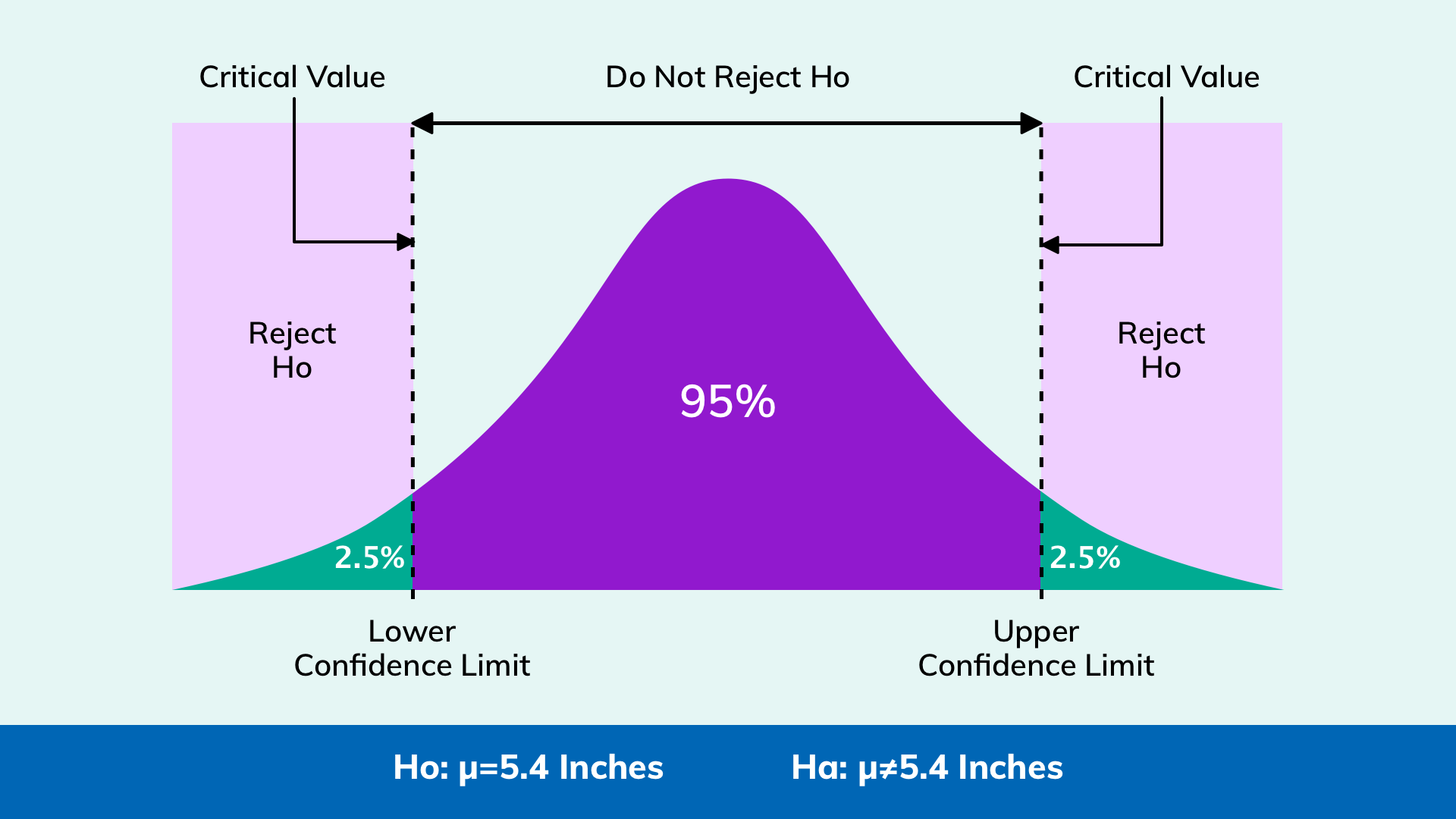A Beginner’s Guide to Hypothesis Testing by Ashwini Atmakuri