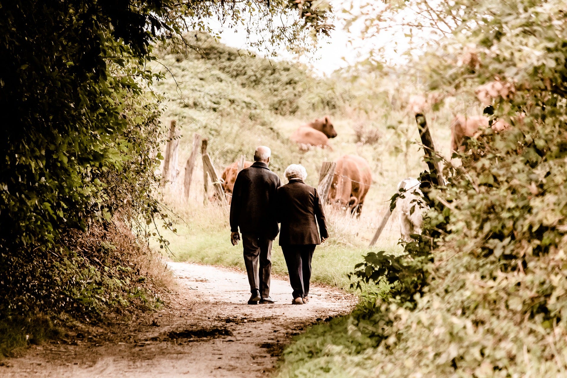 The Old Couple at the Hospital - P.S. I Love You