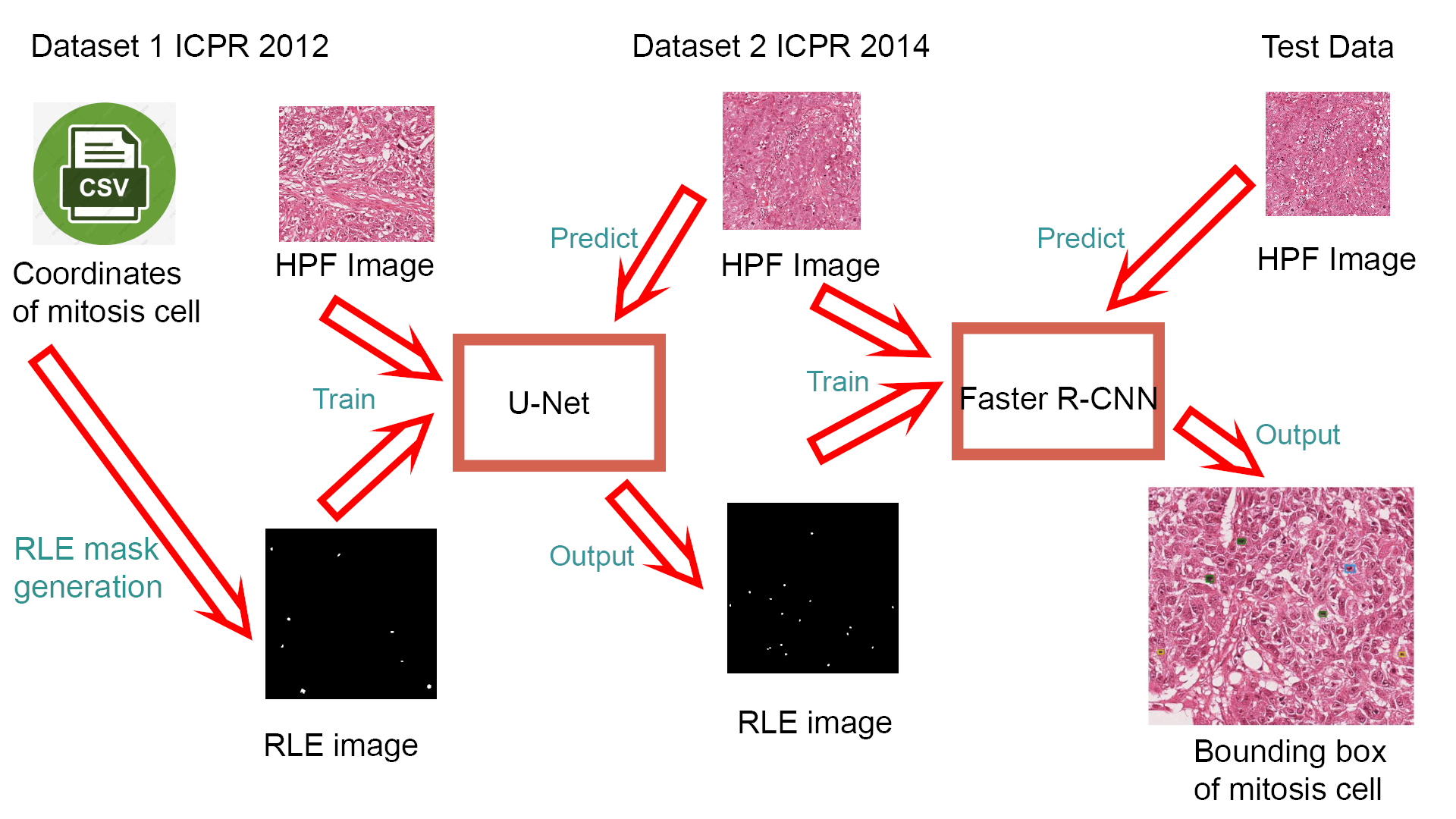 Breast cancer detection using deep neural network | by Rohit Kumar ...
