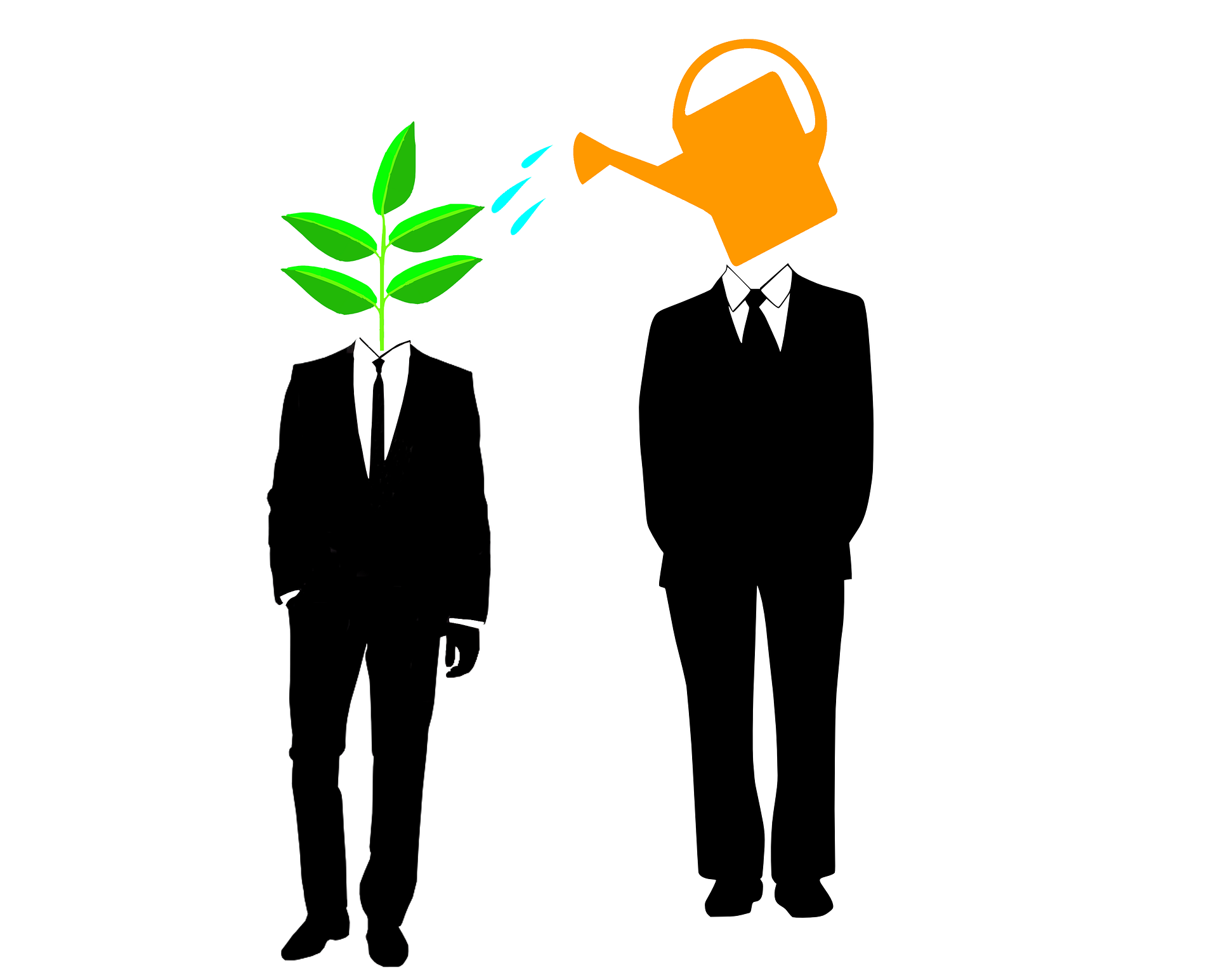 Mentor kimdir ?. Kişi veya firma herhangi bir konu… | by Öykü | Mentornity  Blog | Medium