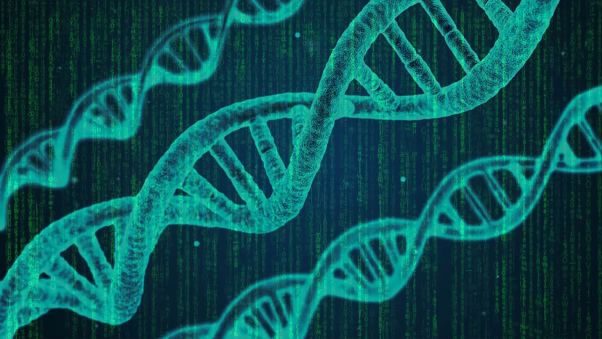 Genetic Algorithm (GA) Introduction with Example Code | Towards AI