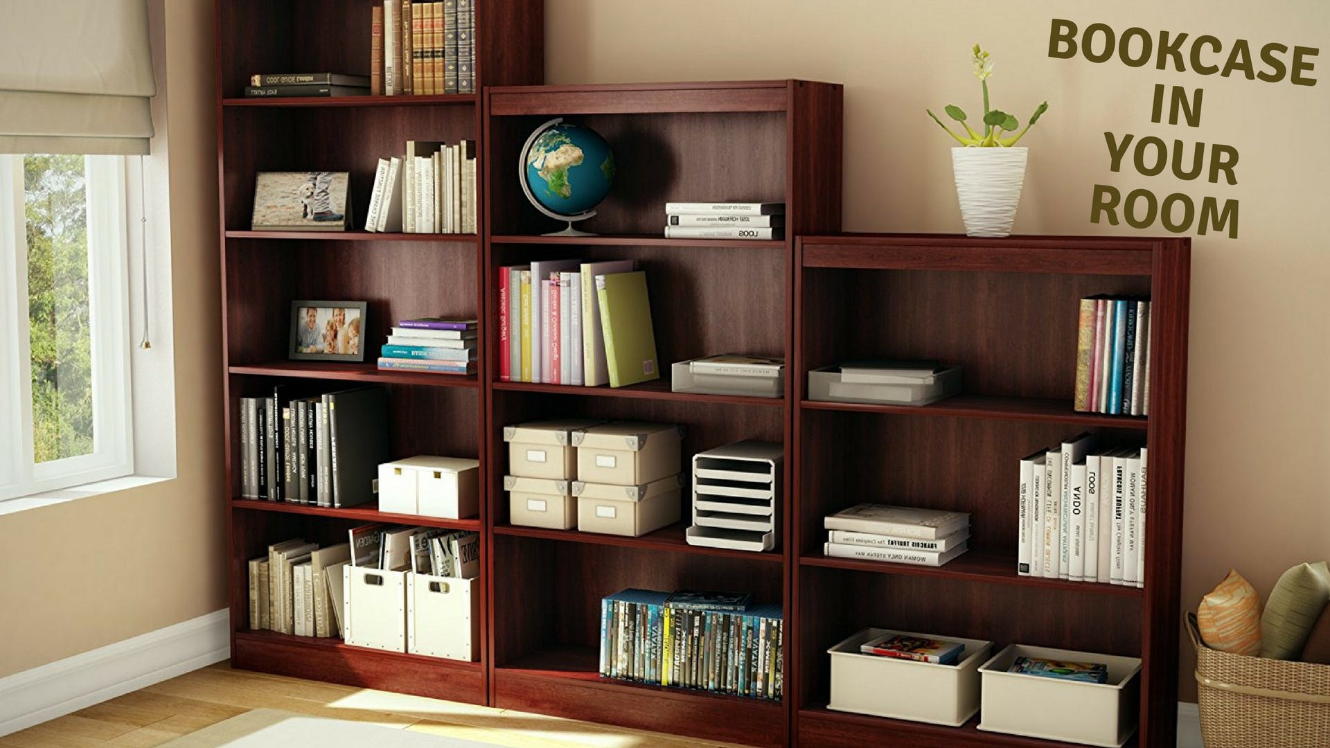 Need A Bookcase In Your Room Here S How To Buy Right