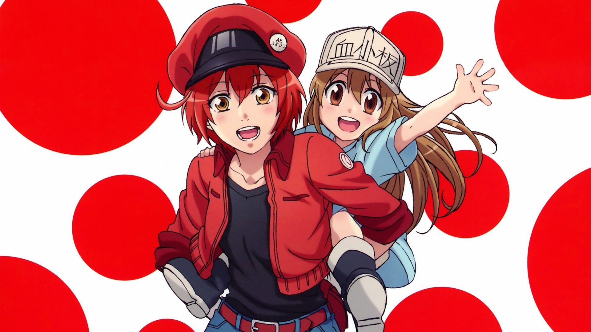 Cells At Work Anime Watch Online / Cells At Work Trailer 1 Youtube