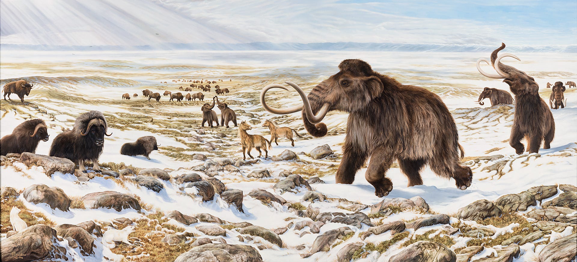 What Earth Looked Like 1 Million Years Ago? - Razvan Oprea-Balais - Medium