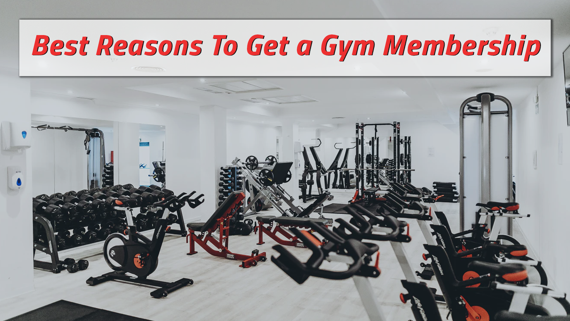 Top 3 Best Reasons to Get a Gym Membership | by Lift-Run-Stretch | Nov,  2020 | Medium