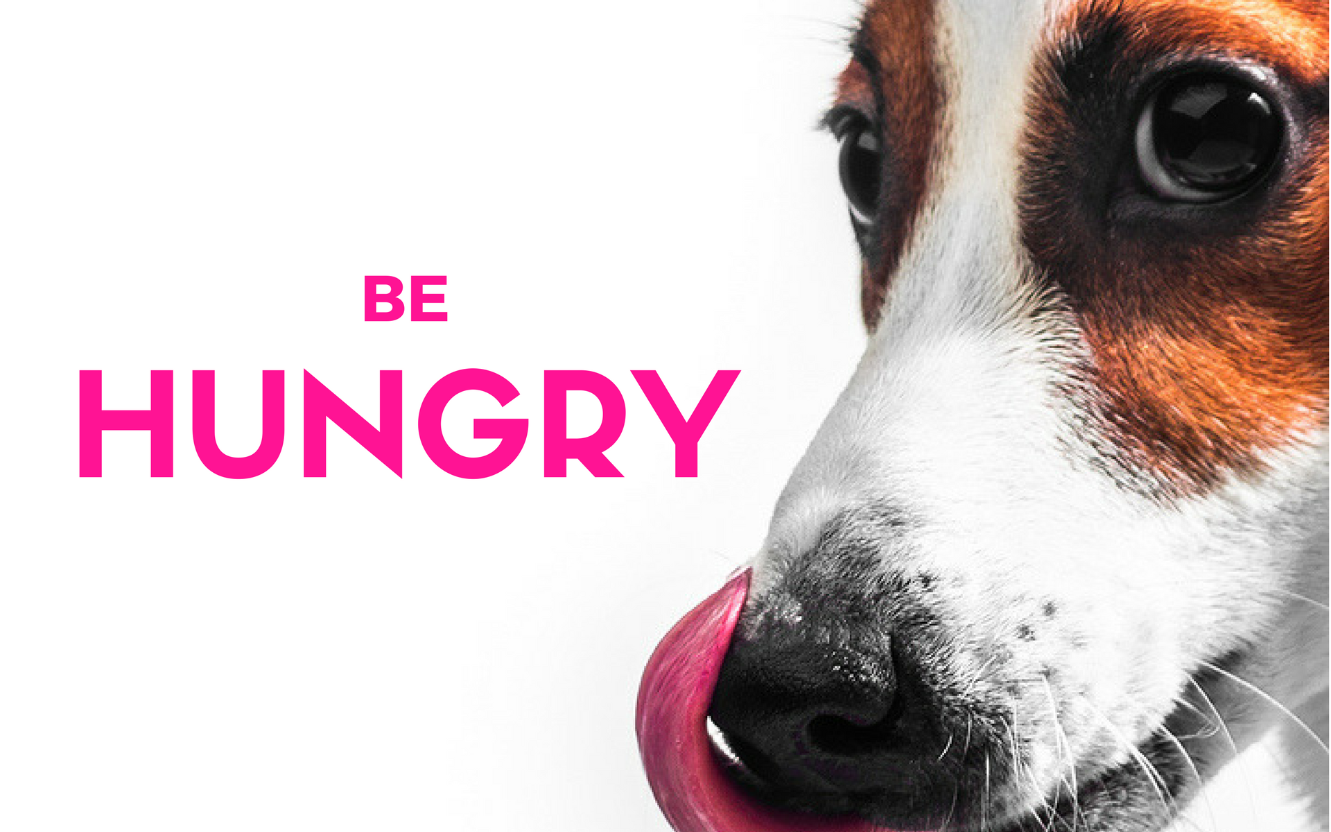 be-hungry-be-hungry-by-suzie-larcombe-entrepreneur-s-handbook