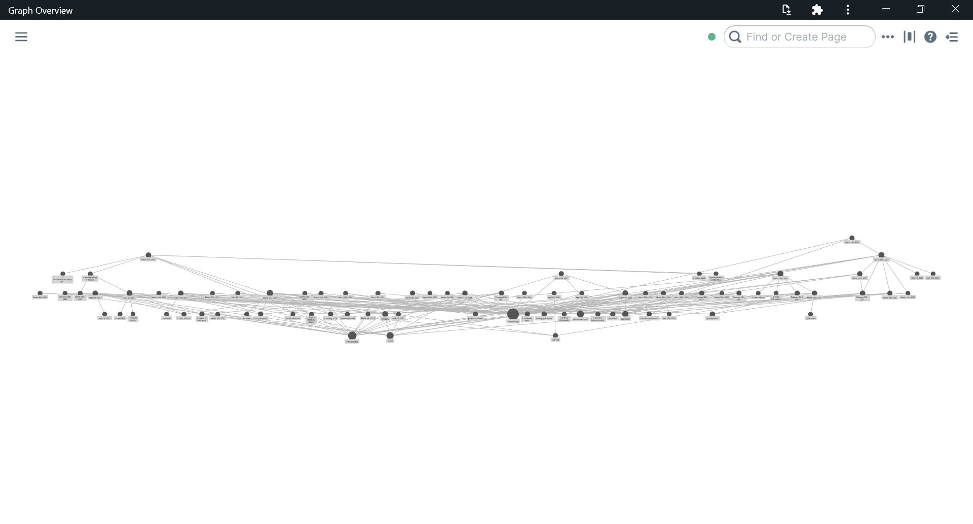 roam graph after 40days of use