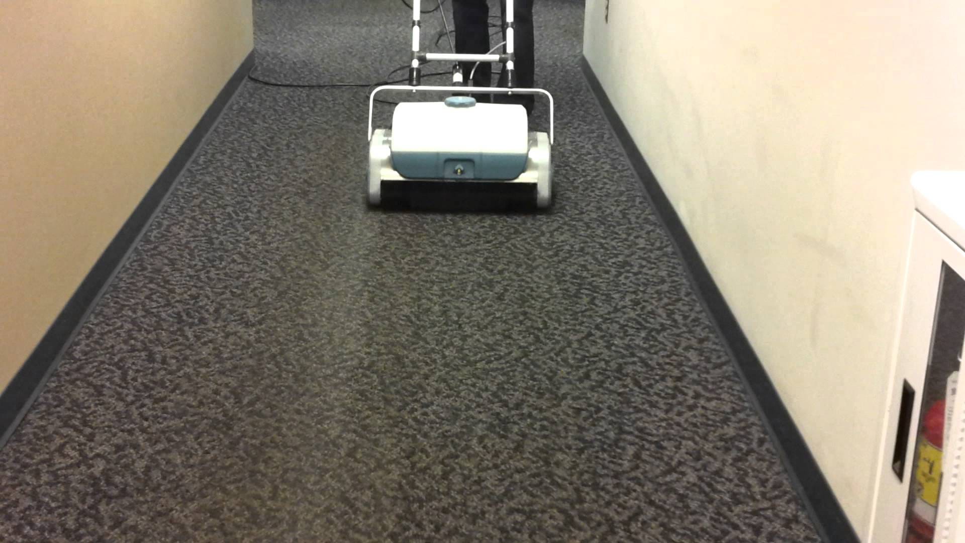 Cheap Carpet Cleaning Alternatives Back 2 New Cleaning Medium