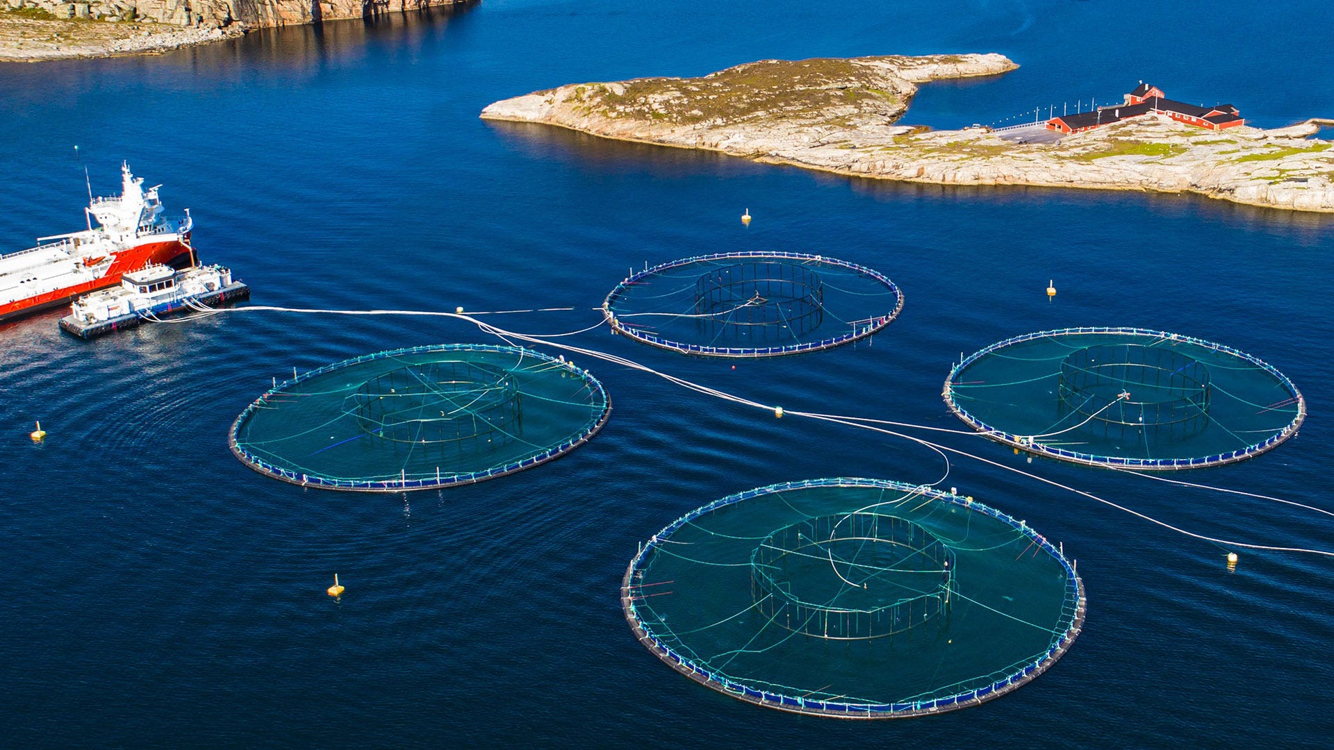 International examples offer US a blueprint for aquaculture regulation in  2020 | by Friends of the Earth | Medium