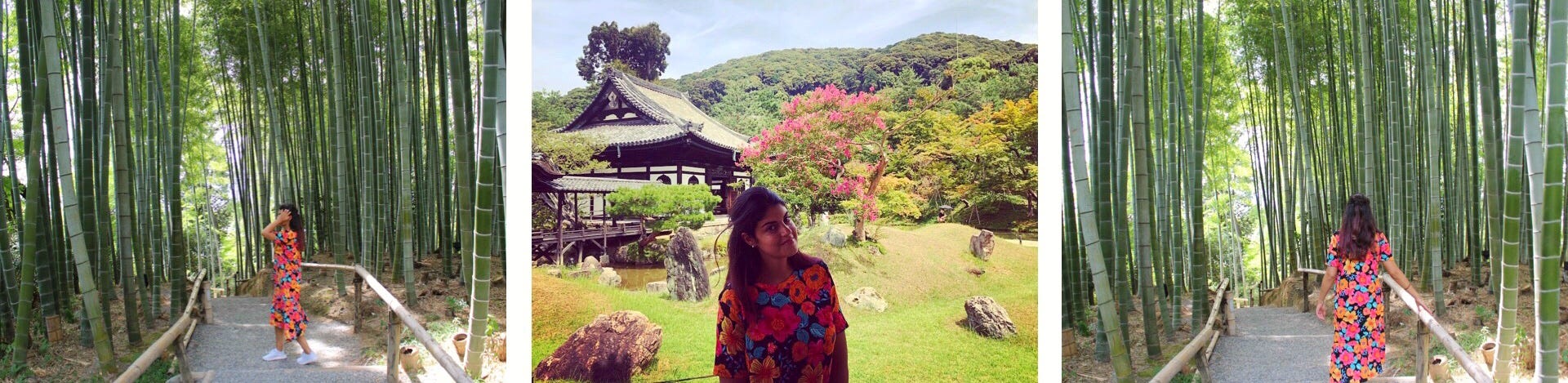 Giappone In 17 Giorni Tokyo Kyoto Hiroshima Koyasan Miyajima Kanazawa Shirakawago Medium Giappone In 17 Giorni Tokyo Kyoto Hiroshima Koyasan Miyajima Kanazawa Shirakawago Medium