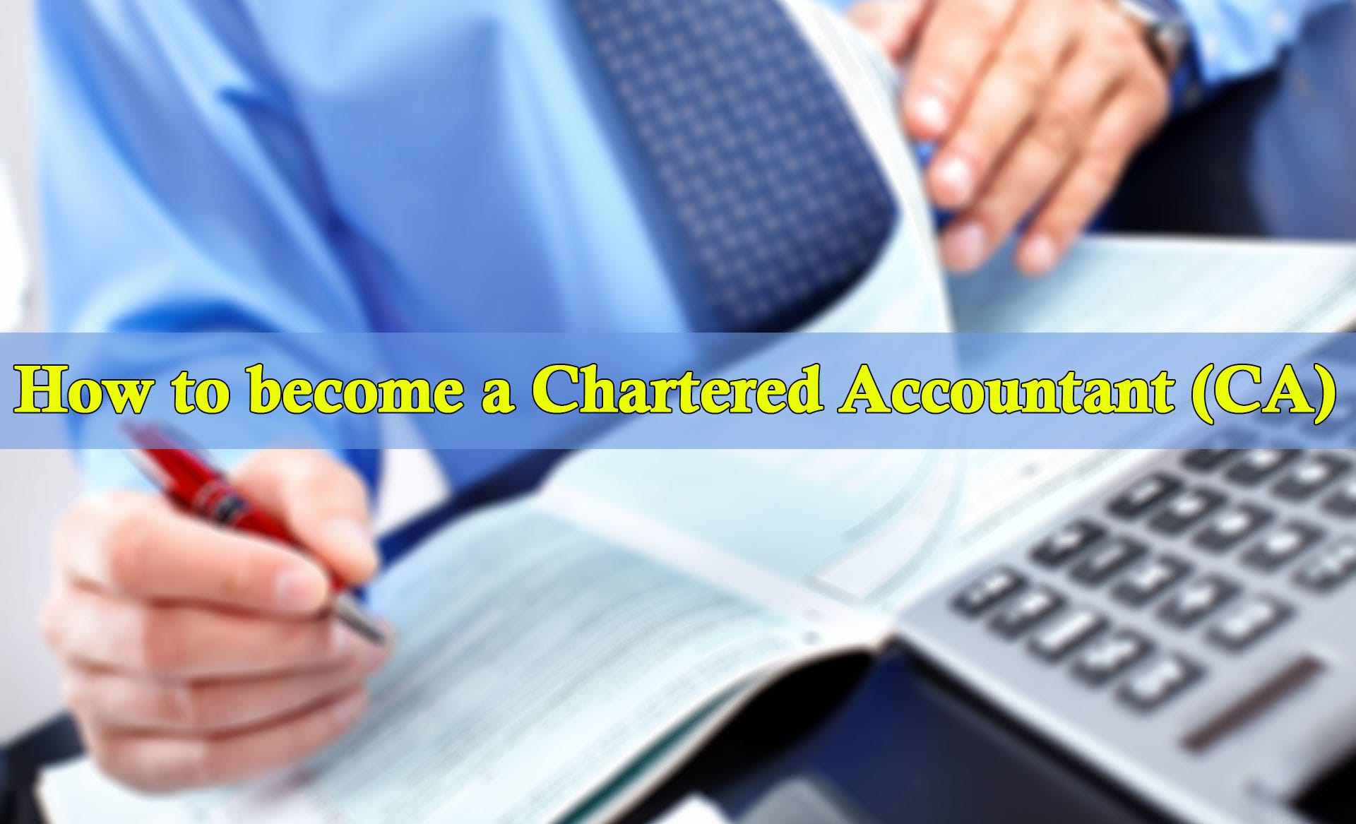 Charted Accountant