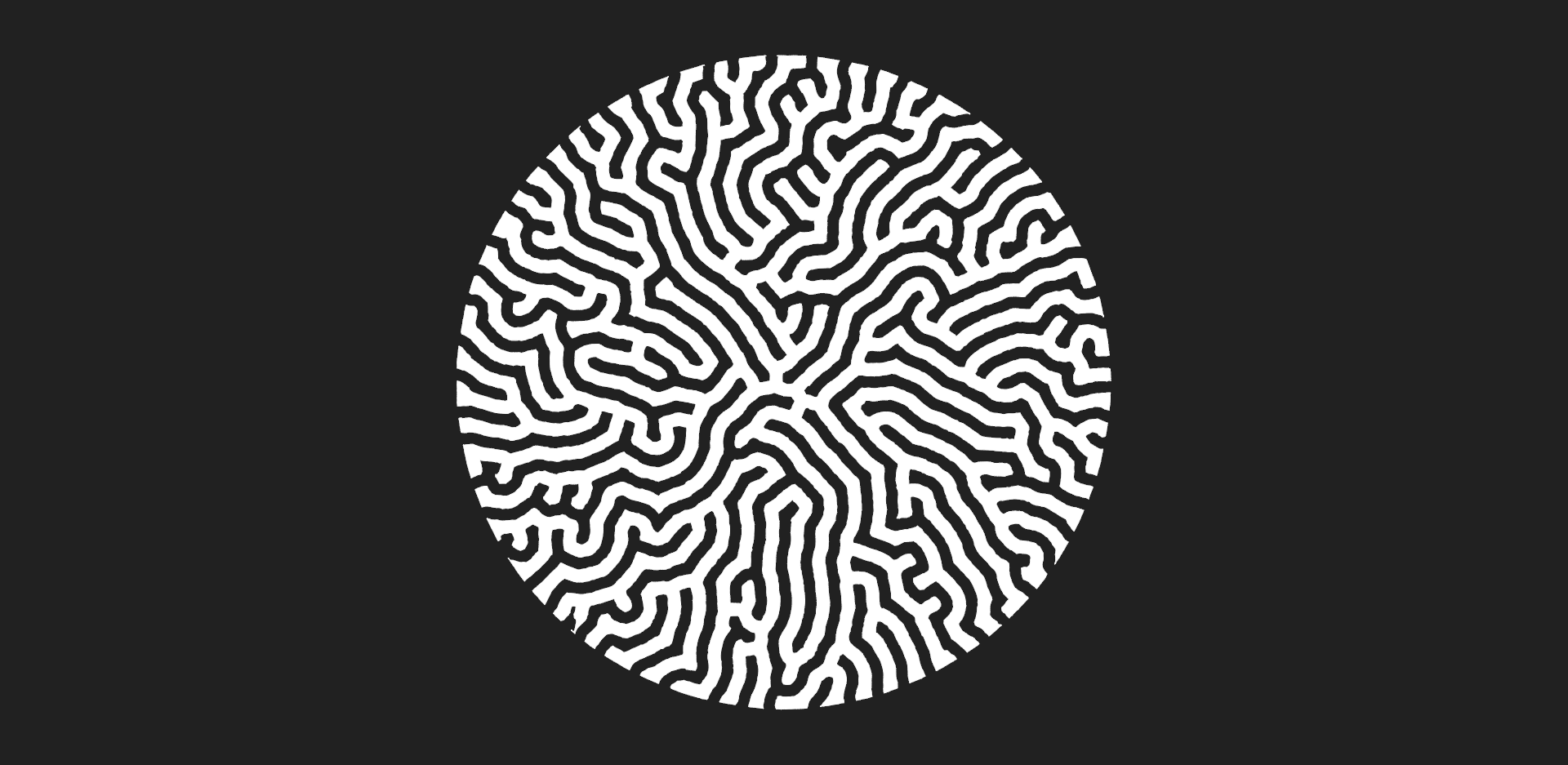 Exploring 2D differential growth with JavaScript by Jason b Medium