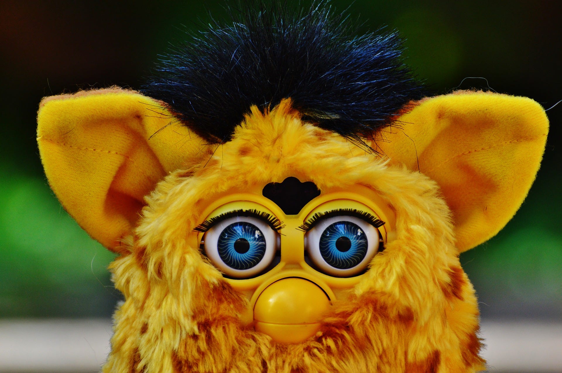 david hampton furby