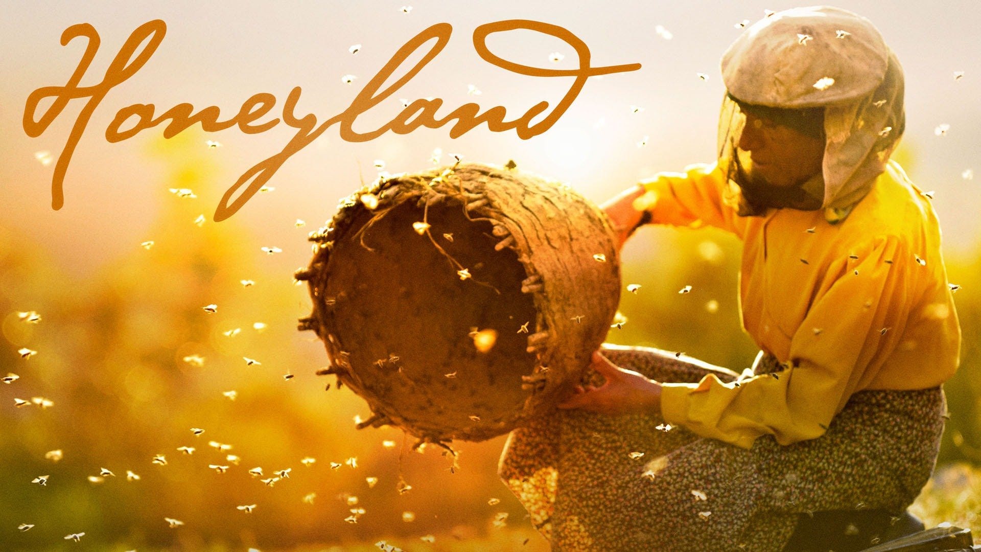 Half For Me Half For The Bees” In Hatige's Honeyland | by Martin Anastasovski | Medium
