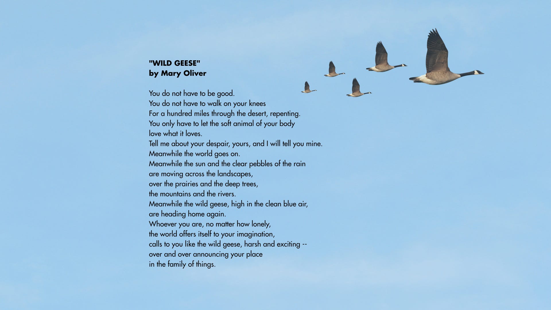 View Mary Oliver Poems Pics
