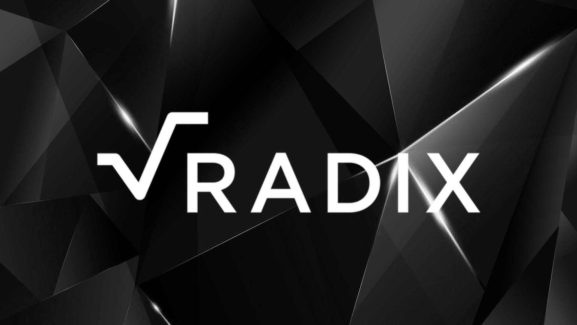 Radix: Detailed review on the project.