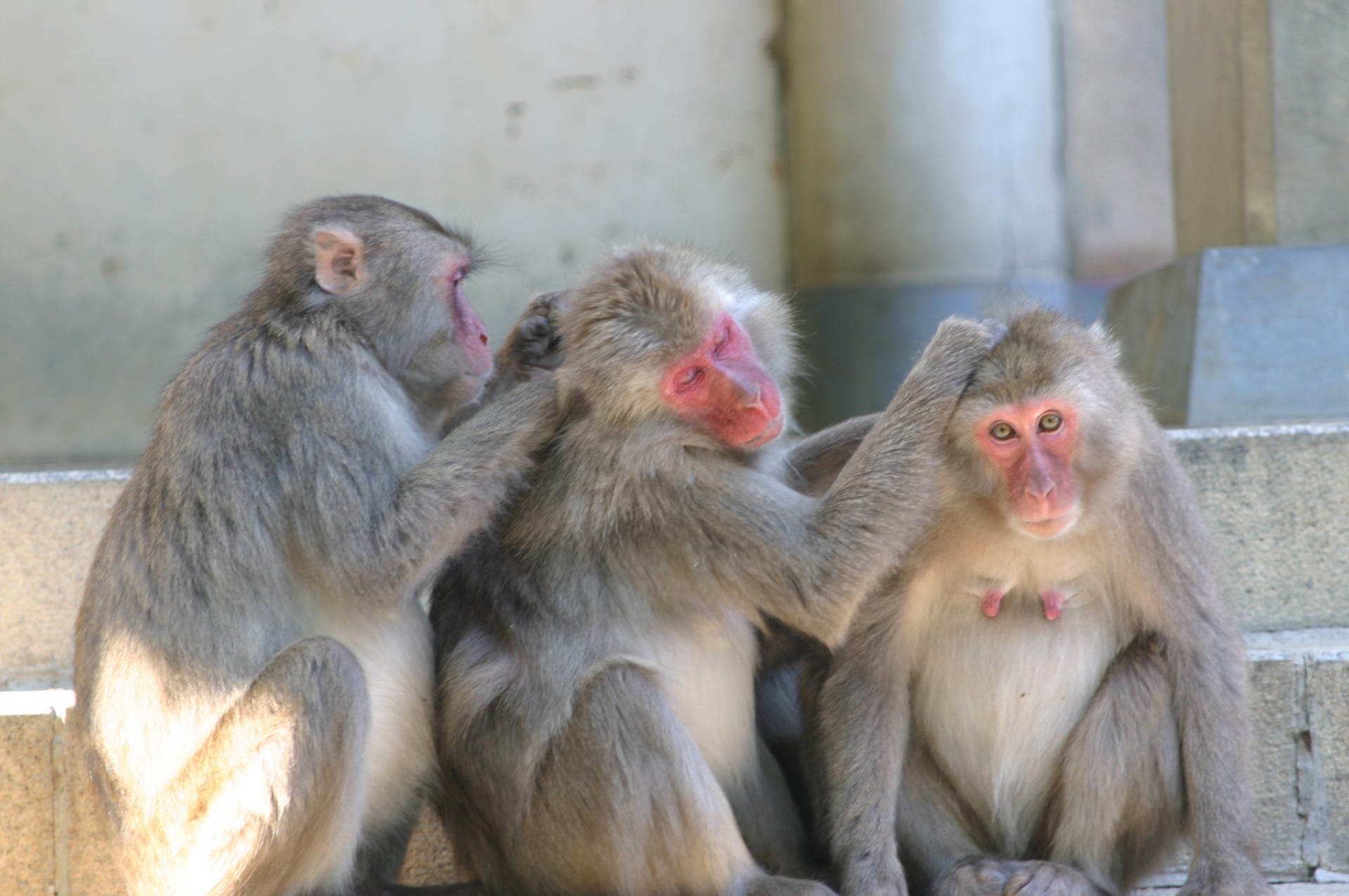 16 Lucky Lucky Tv Tv Tv きゃ きゃ きゃ きぃ きゅ きゅ きゅ きょ By Fukudaxhund Direct Now Medium