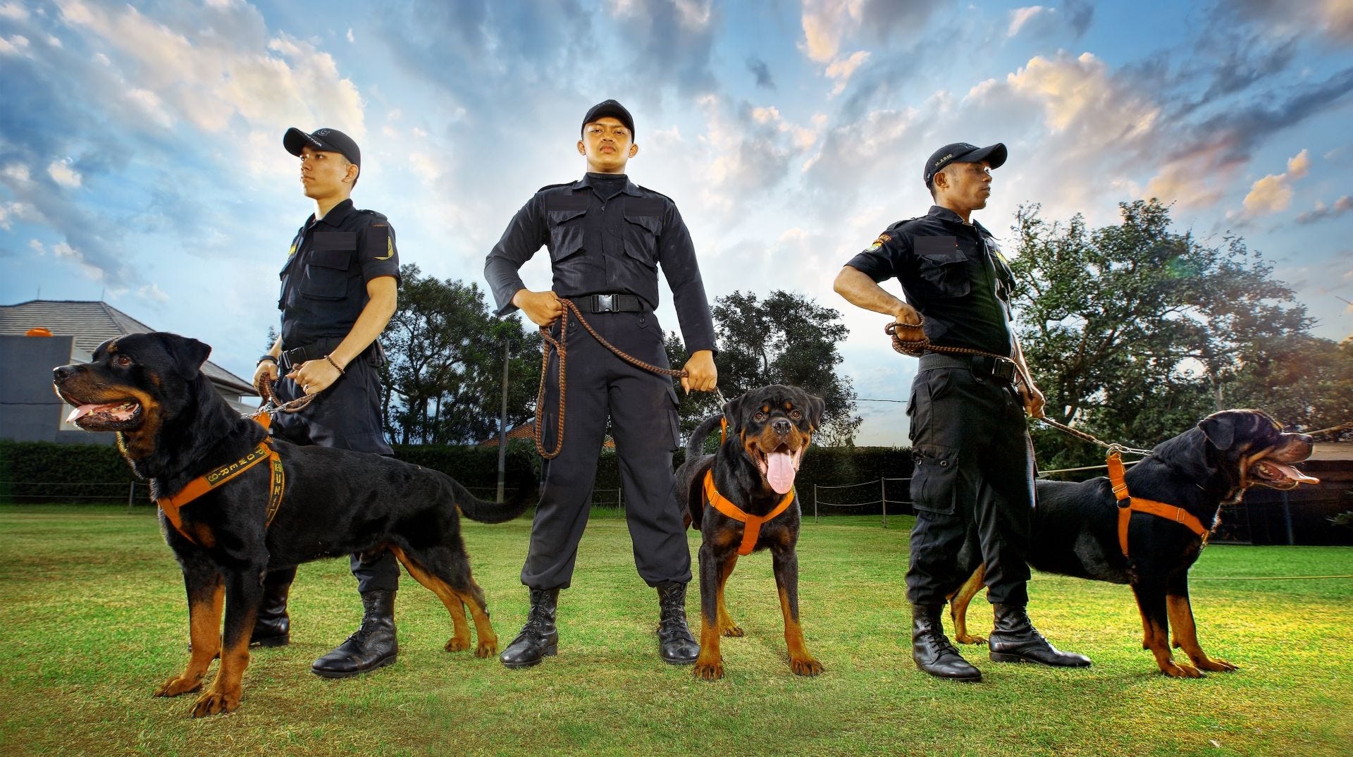 k9 security dogs