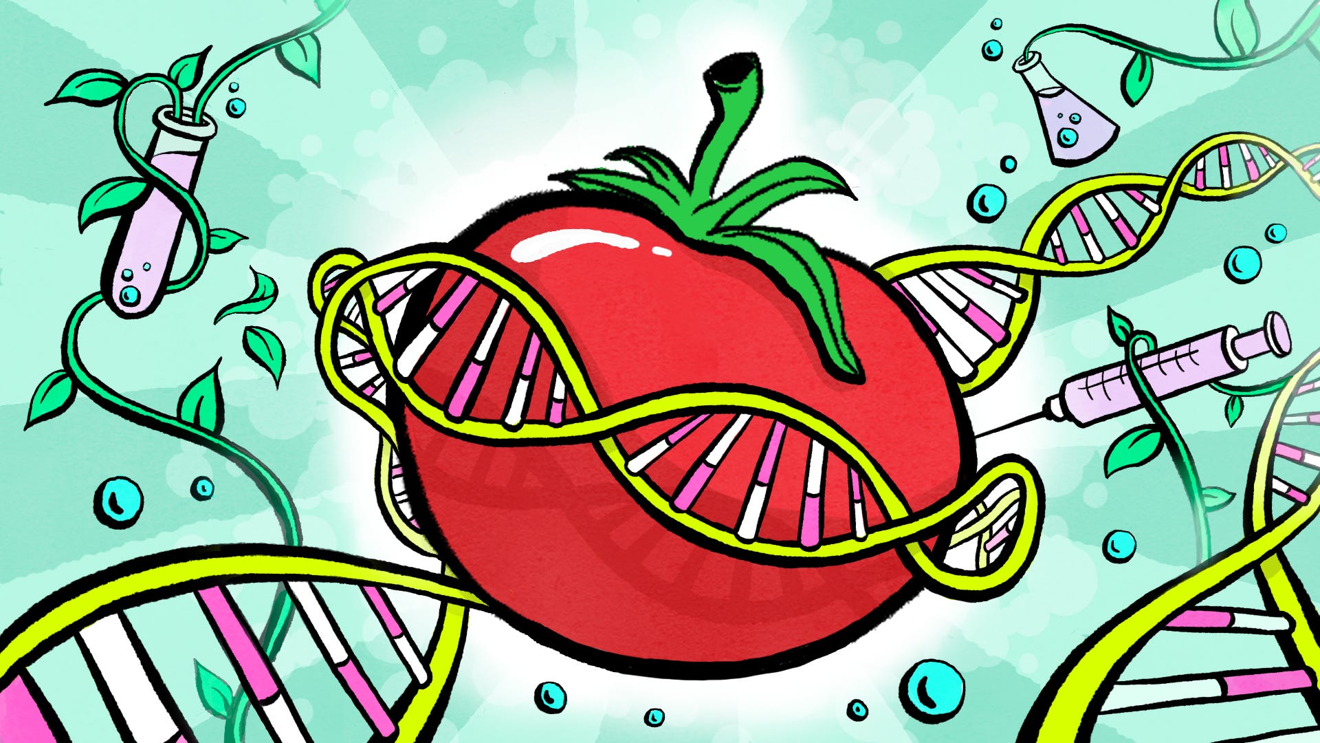 Good GMO Vs Bad GMO Disclaimer A Lot Of Weird Words Ahead By 
