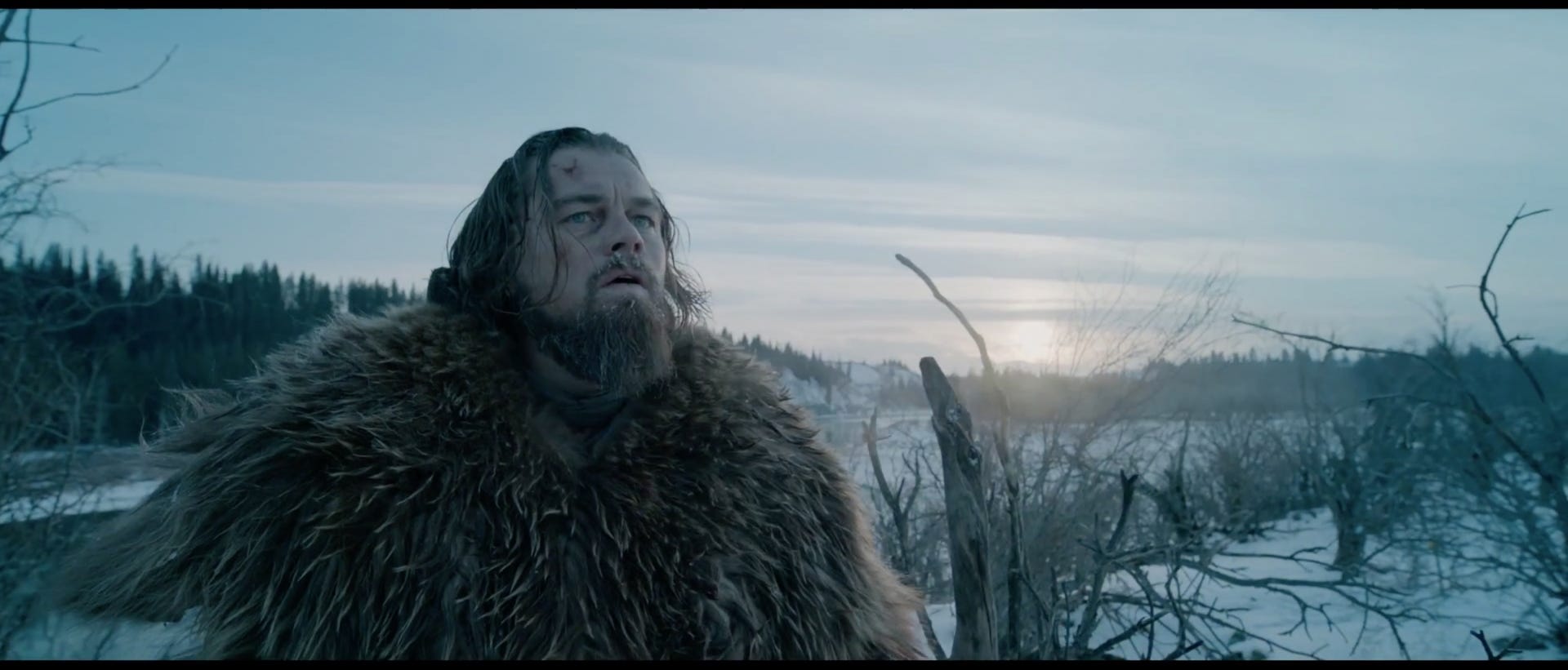 نتيجة بحث الصور عن ‪the revenant‬‏