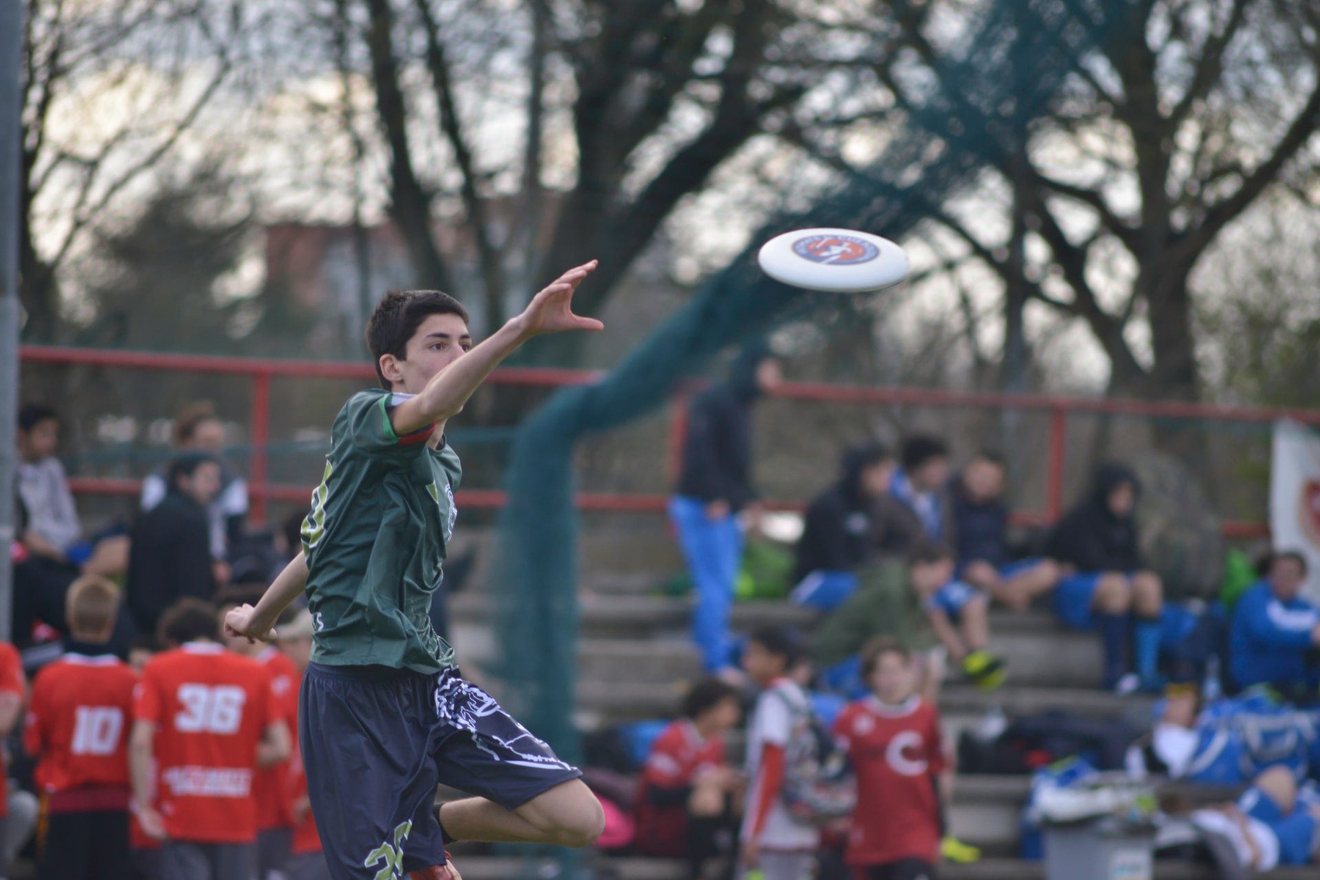 frisbee back to the future